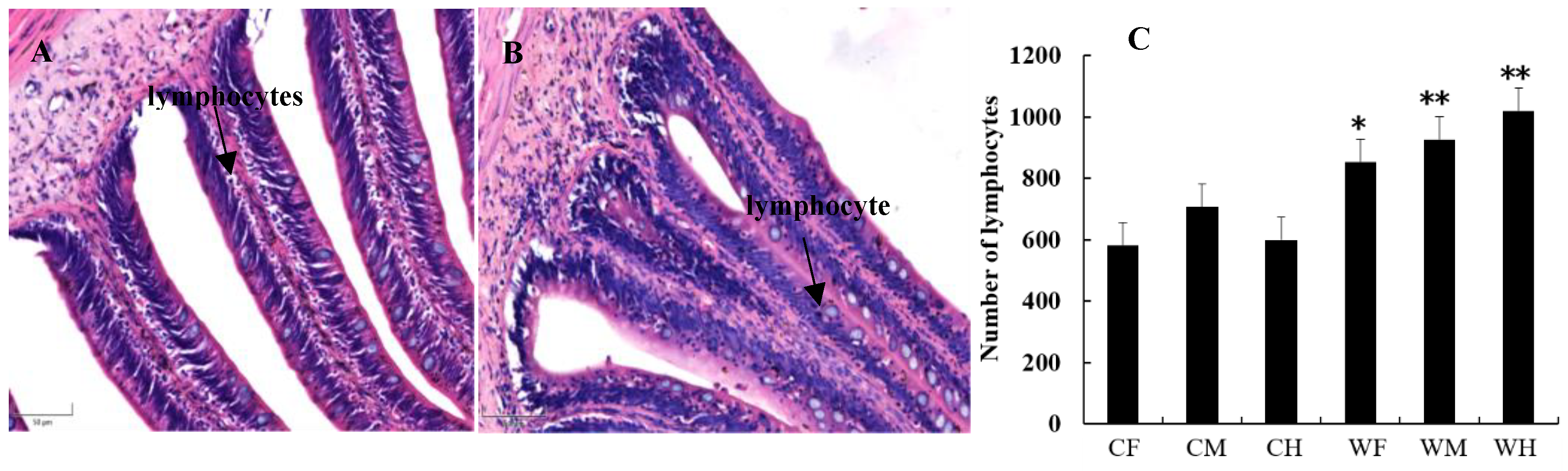 Animals 13 00189 g006