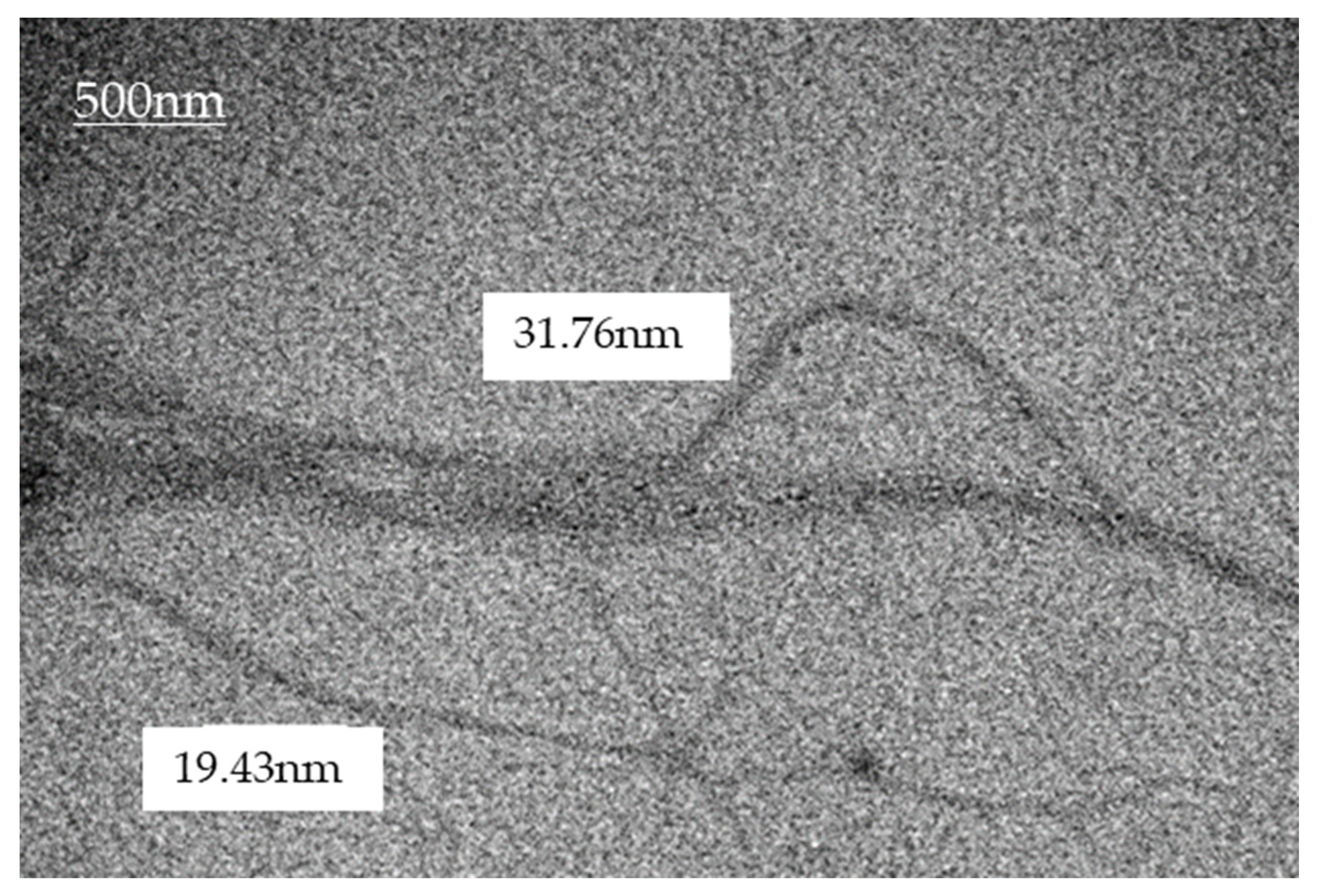 Animals 13 00192 g001 Animals 13 00192 g001