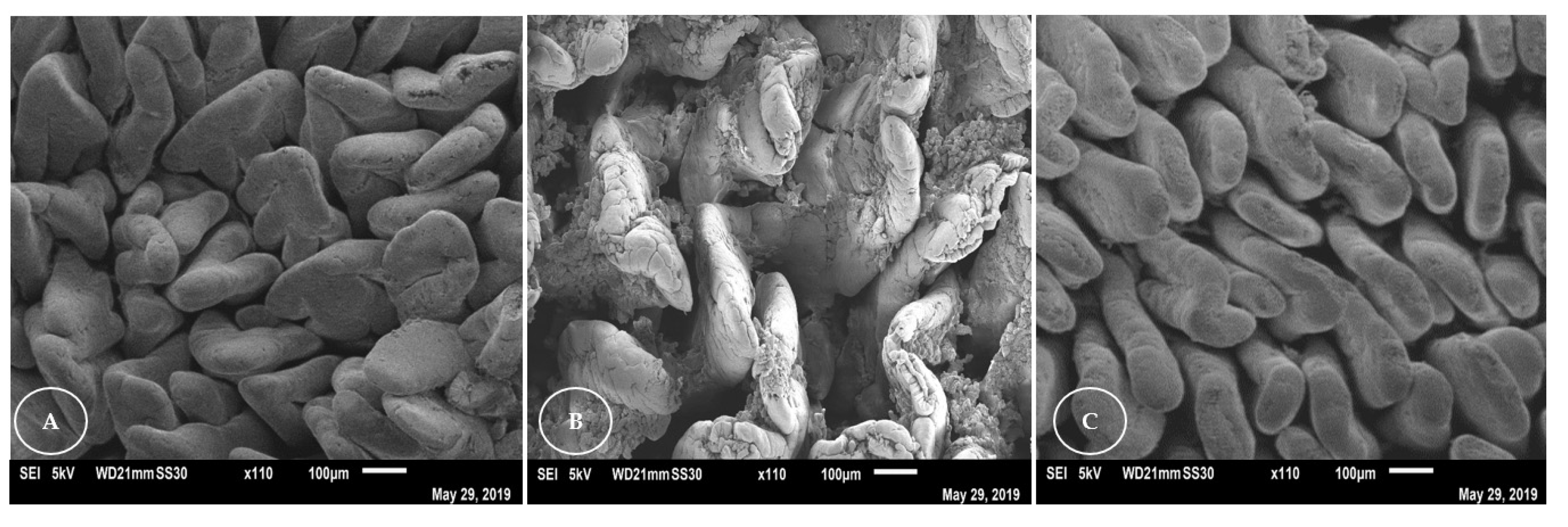 Animals 13 00192 g002 Animals 13 00192 g002