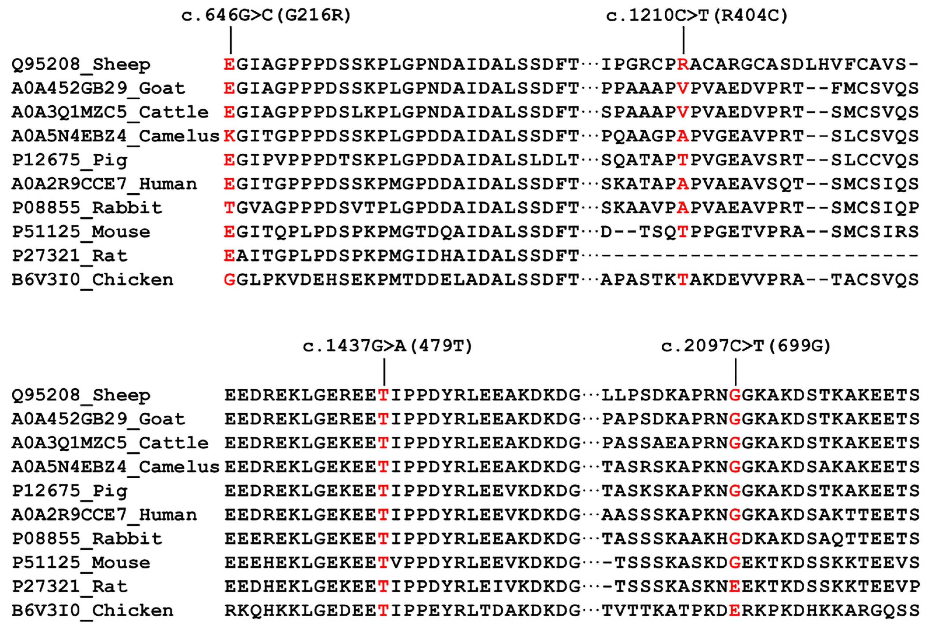 Animals 13 00195 g004