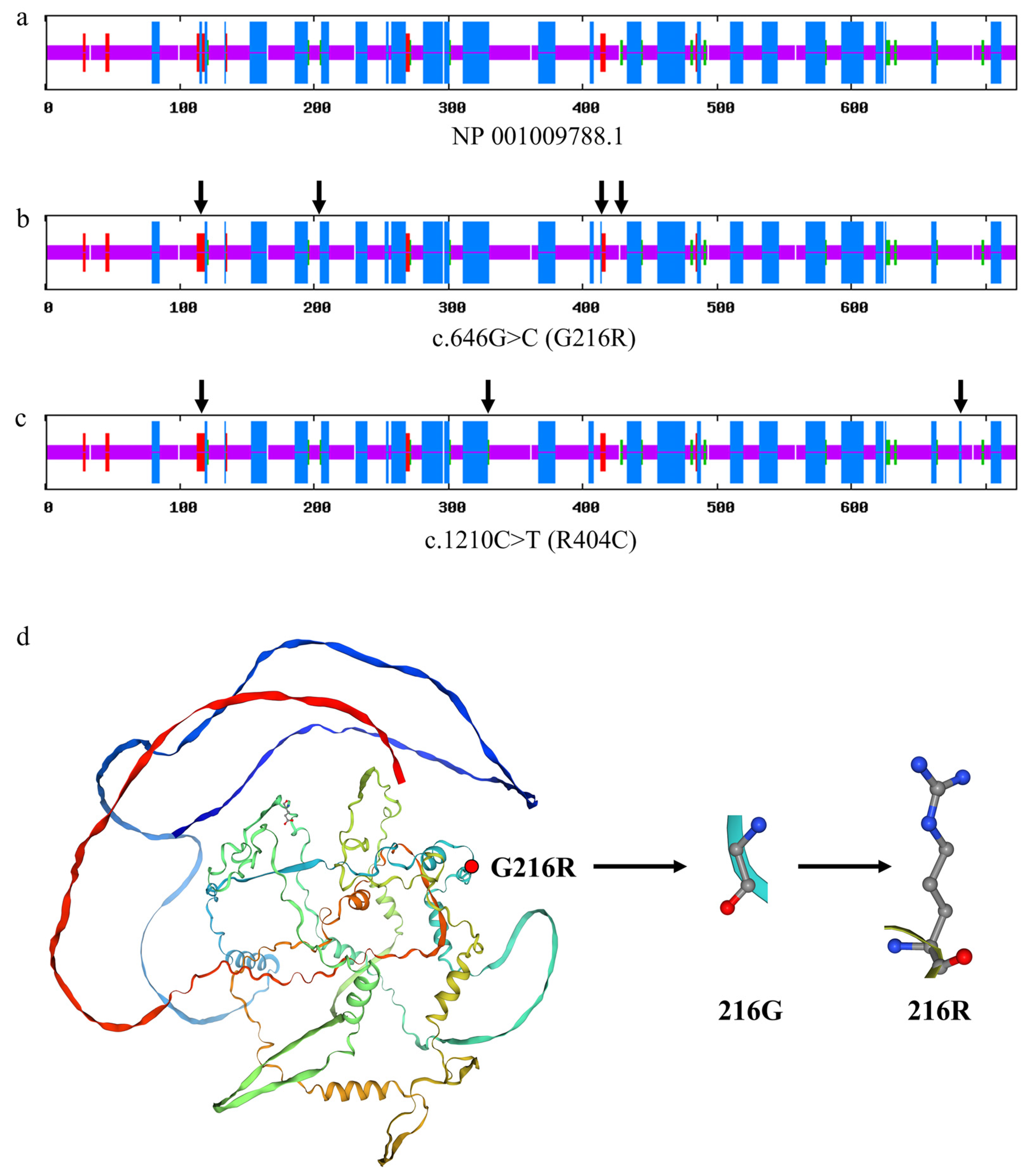 Animals 13 00195 g009
