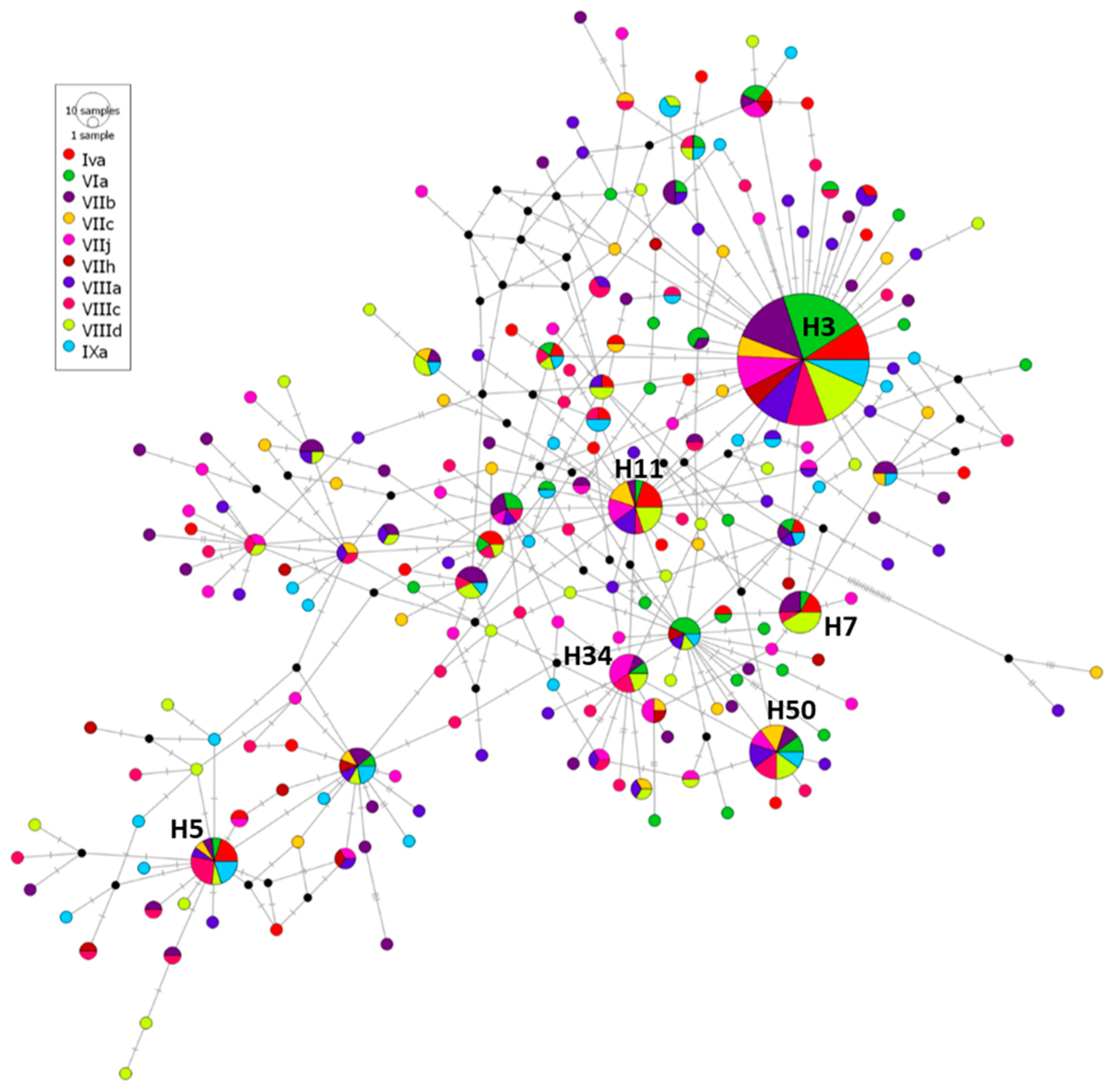 Animals 13 00197 g002