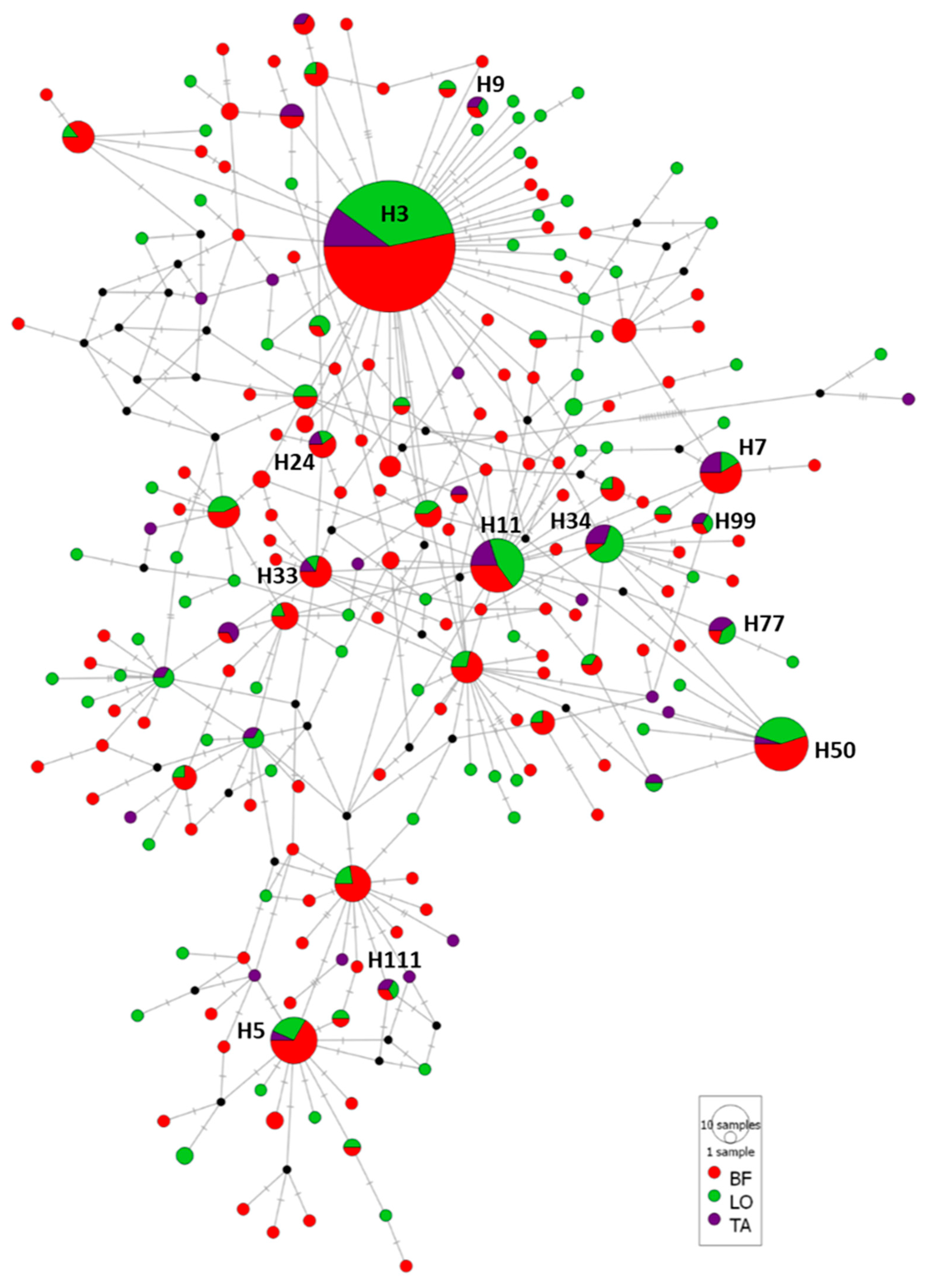Animals 13 00197 g003