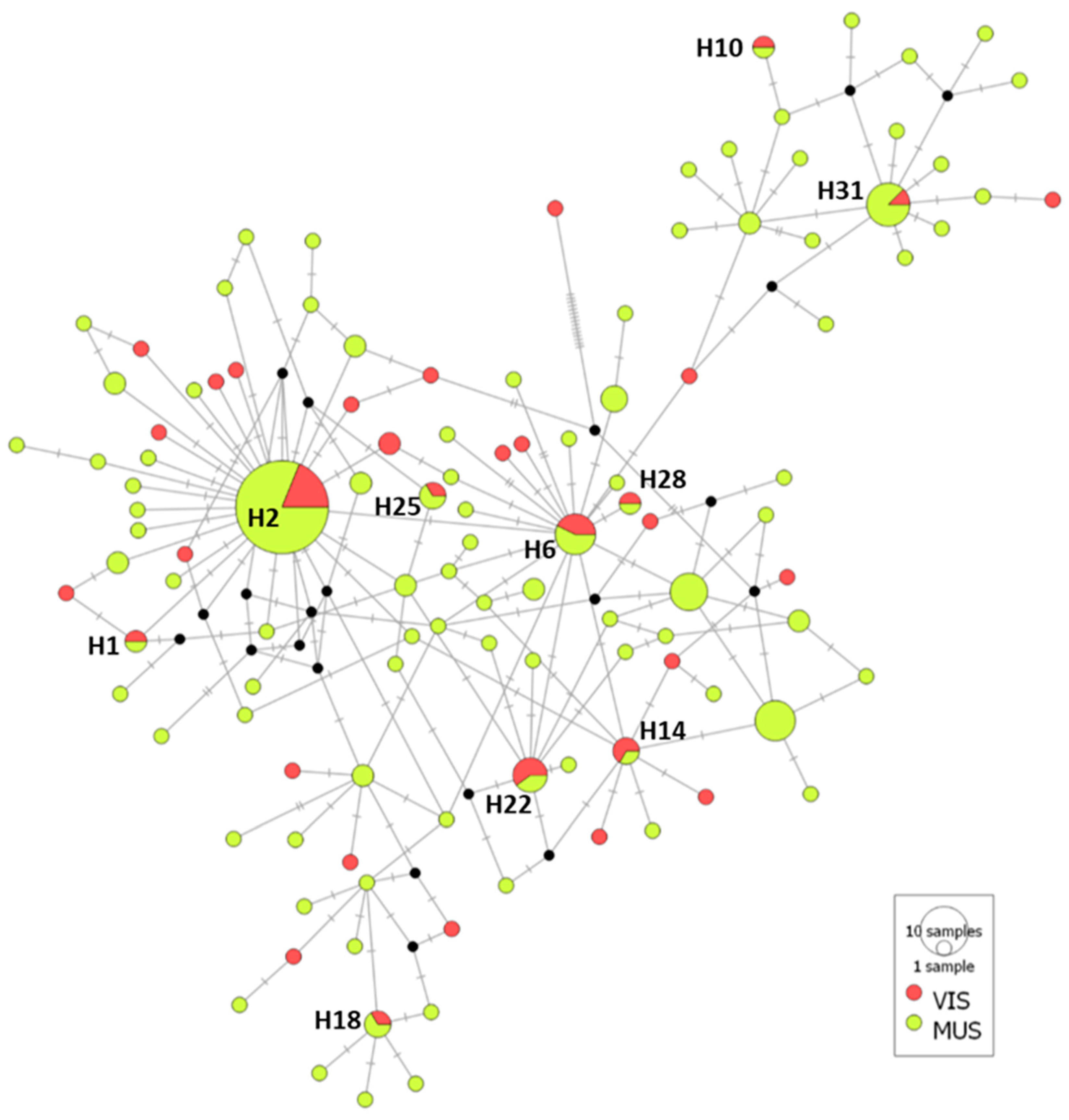 Animals 13 00197 g004