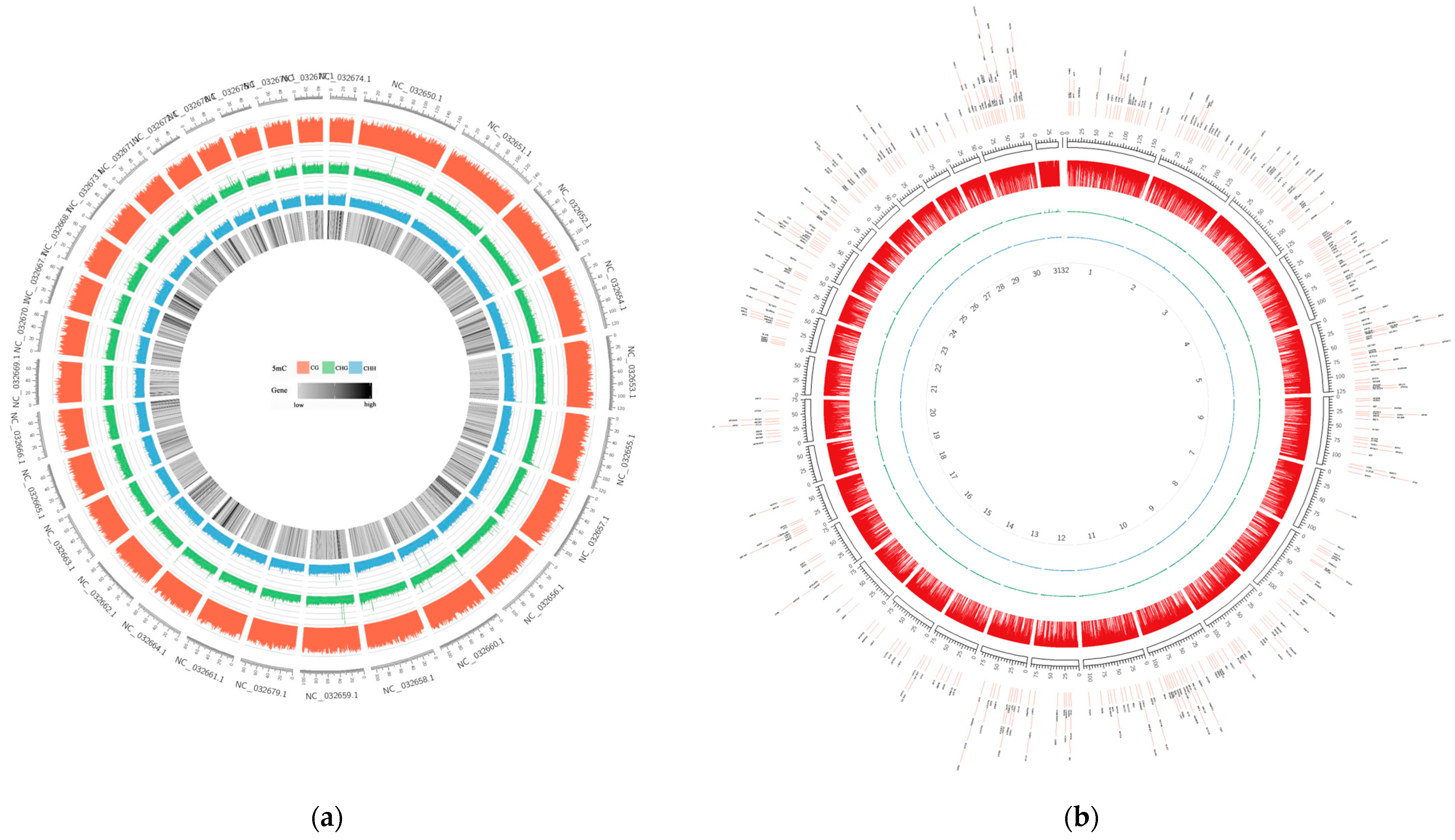 Animals 13 00203 g001 Animals 13 00203 g001