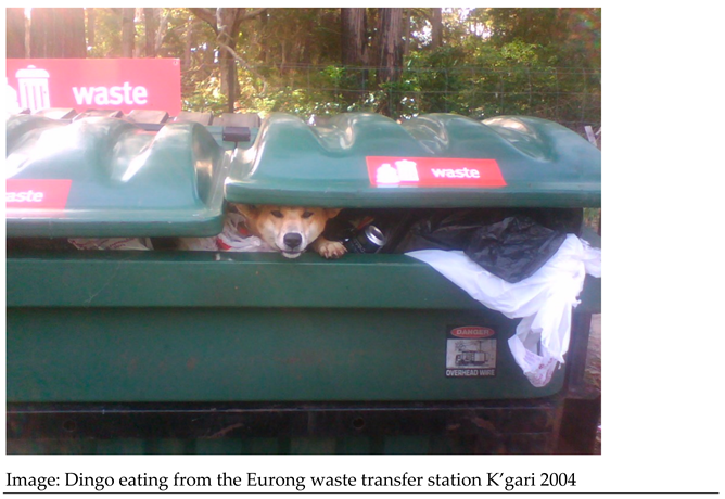 Animals 13 00204 i001