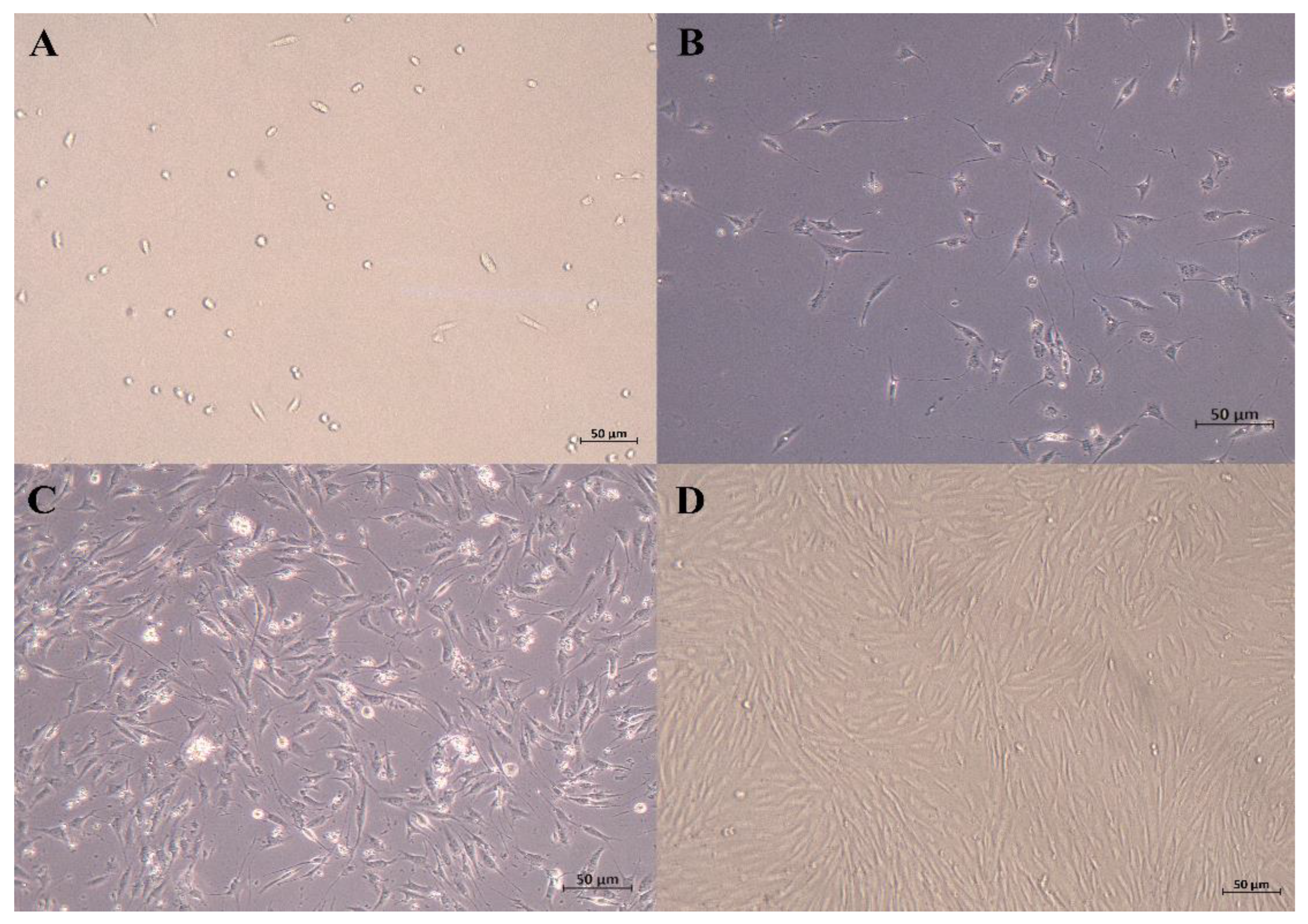 Animals 13 00208 g001