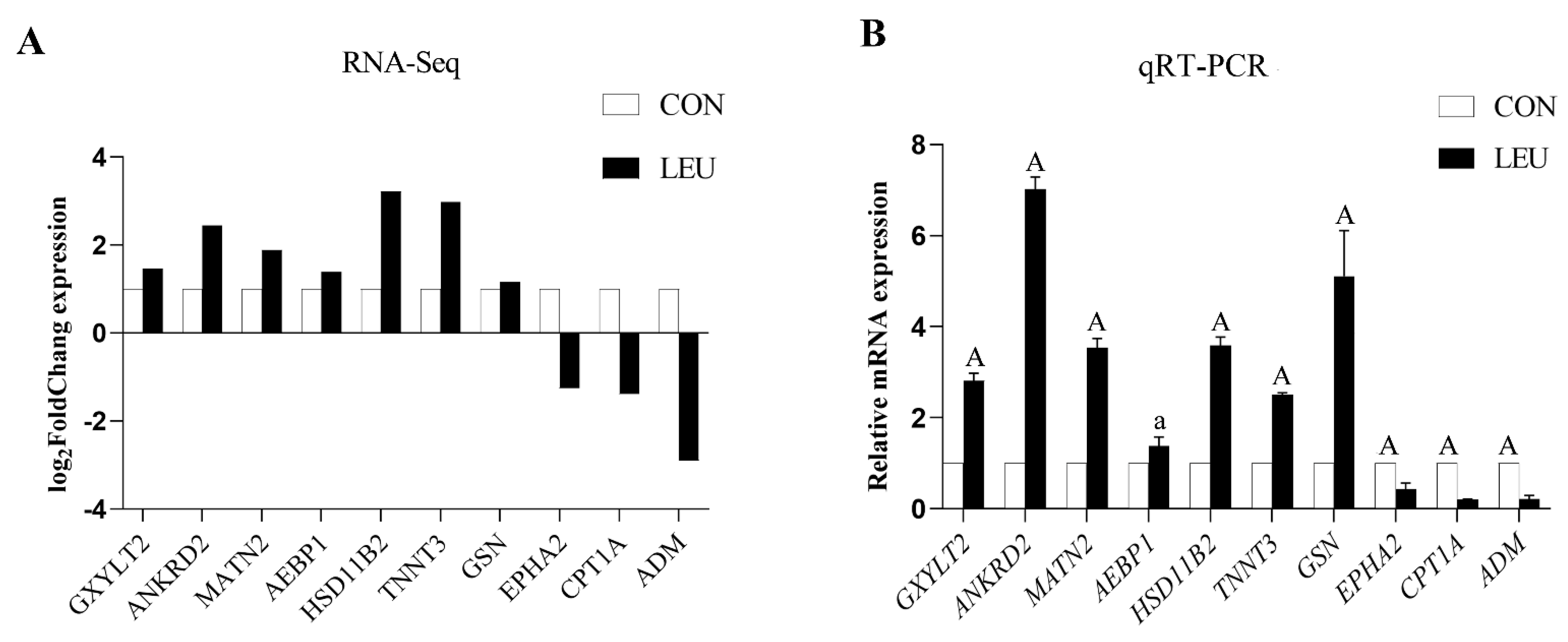 Animals 13 00208 g006