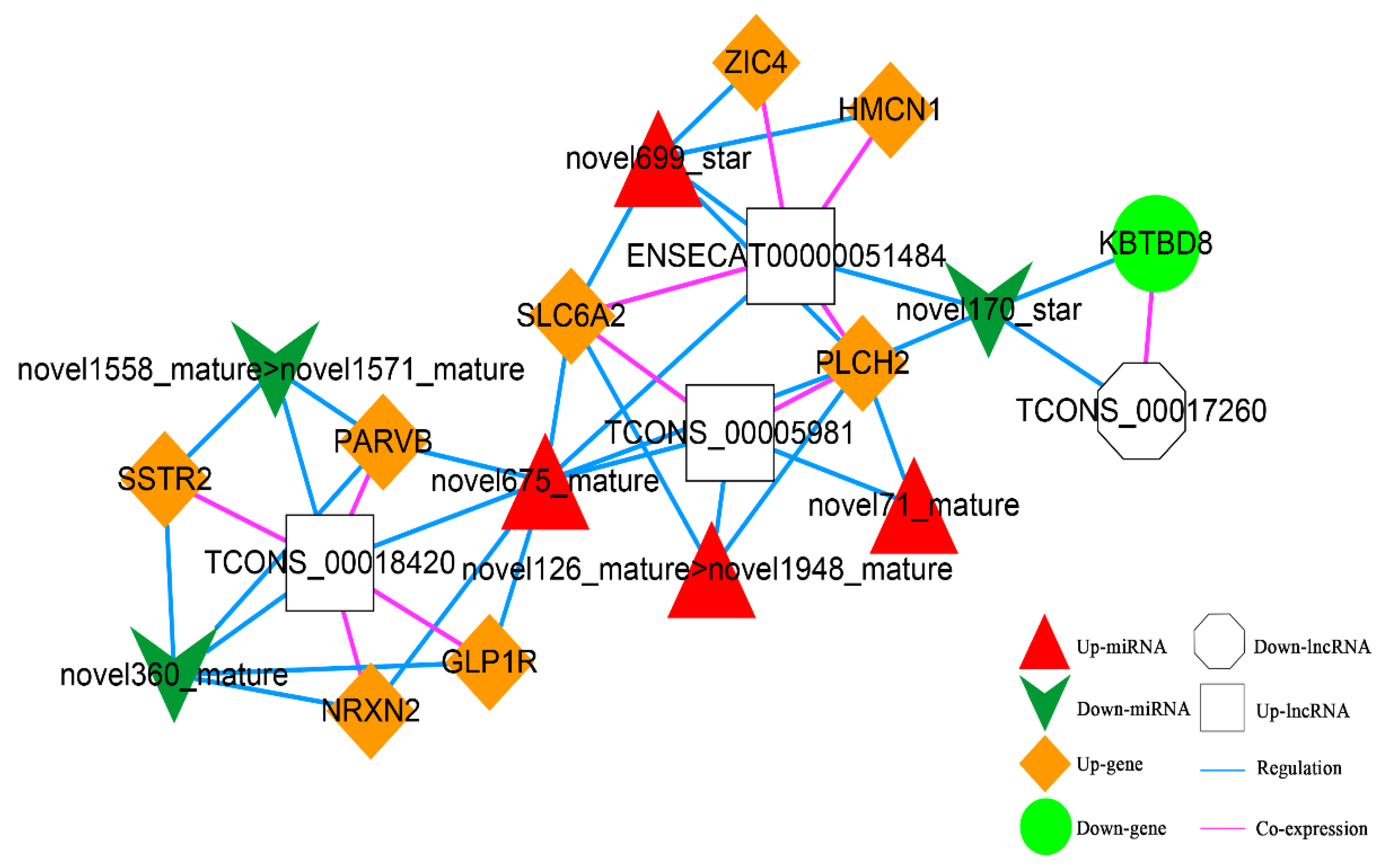 Animals 13 00208 g011