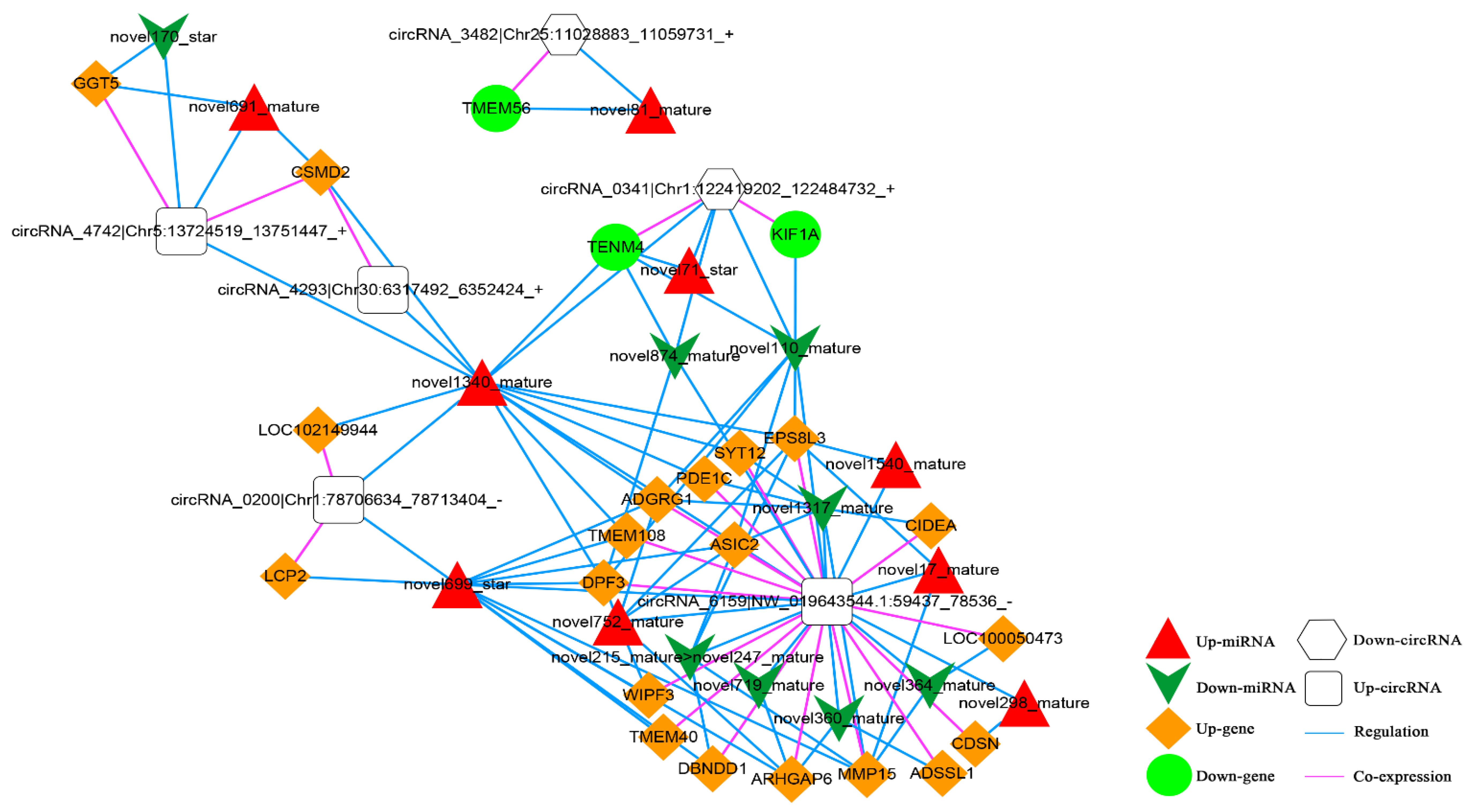 Animals 13 00208 g012