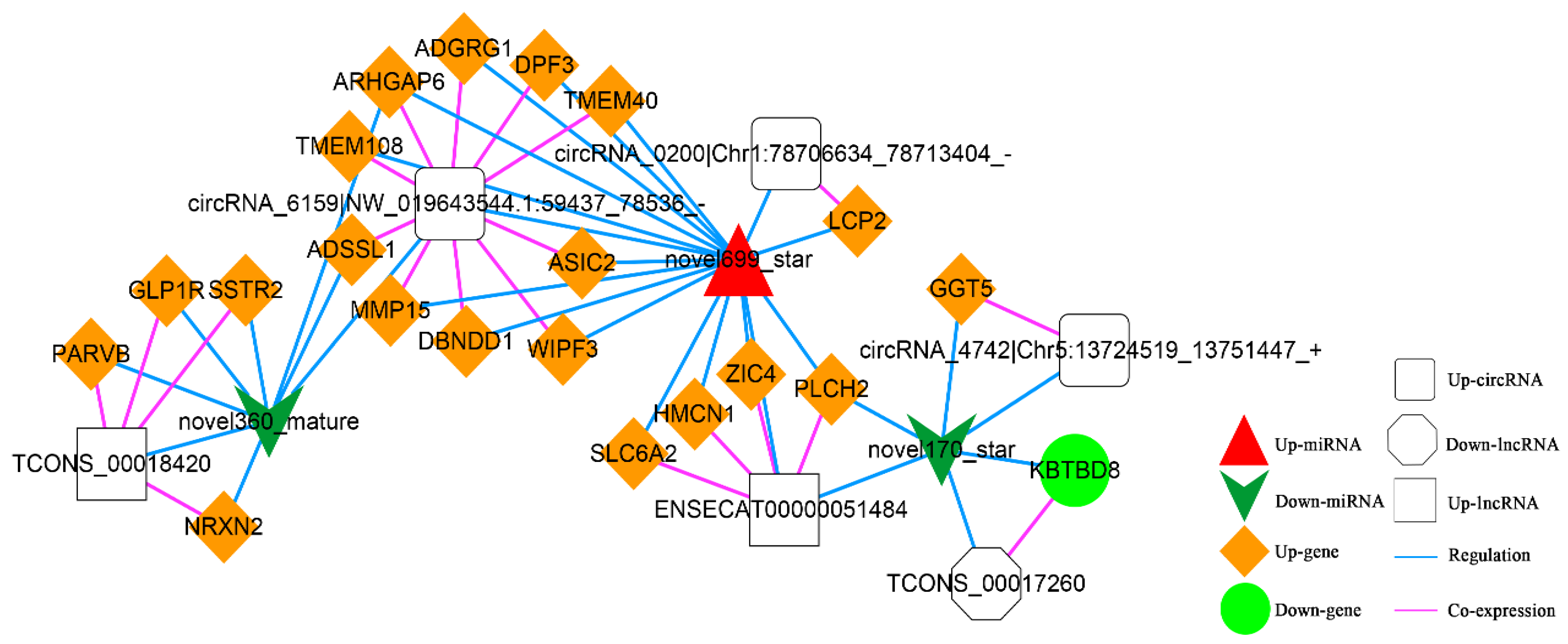 Animals 13 00208 g013