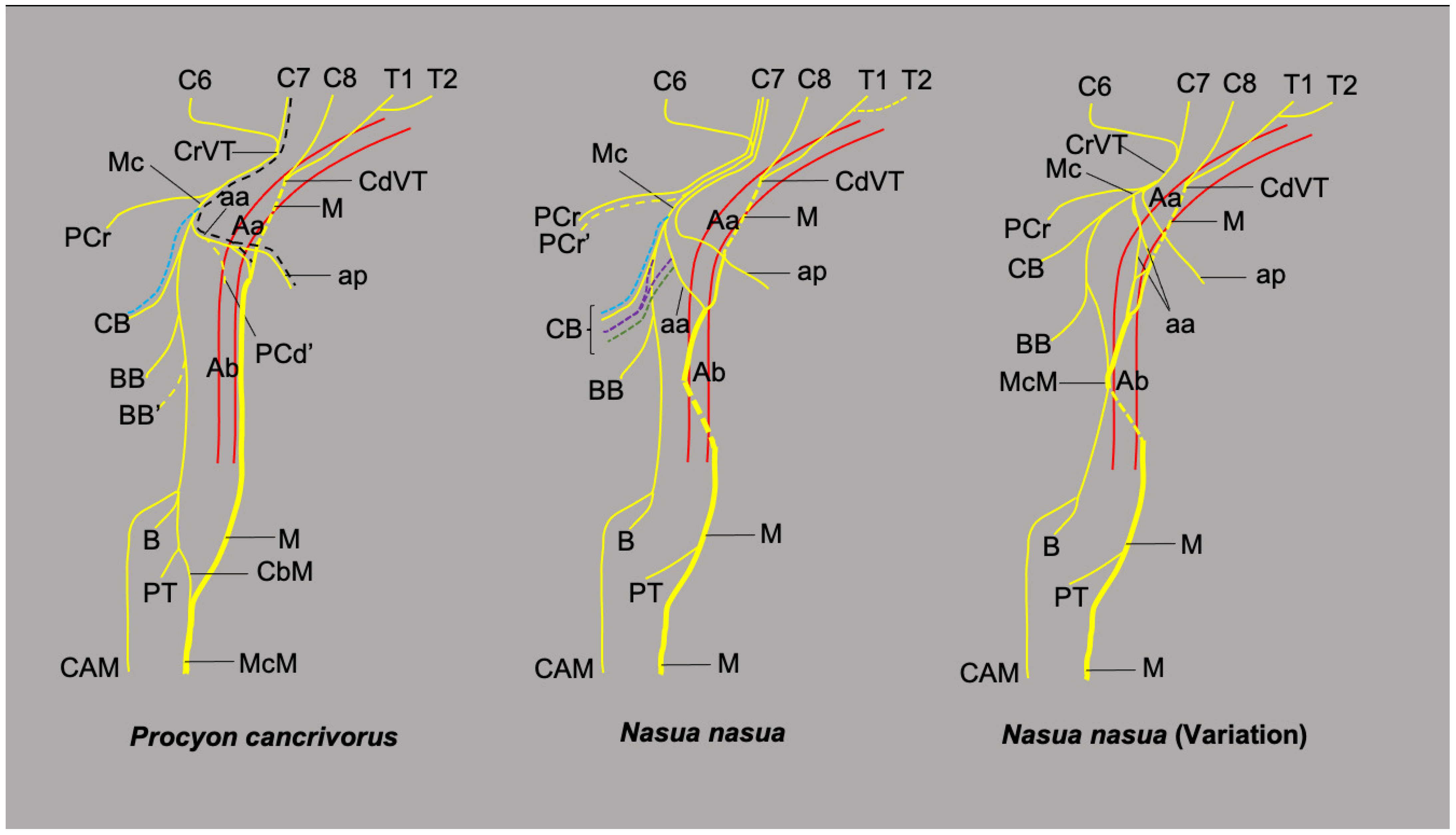 Animals 13 00210 g007 Animals 13 00210 g007