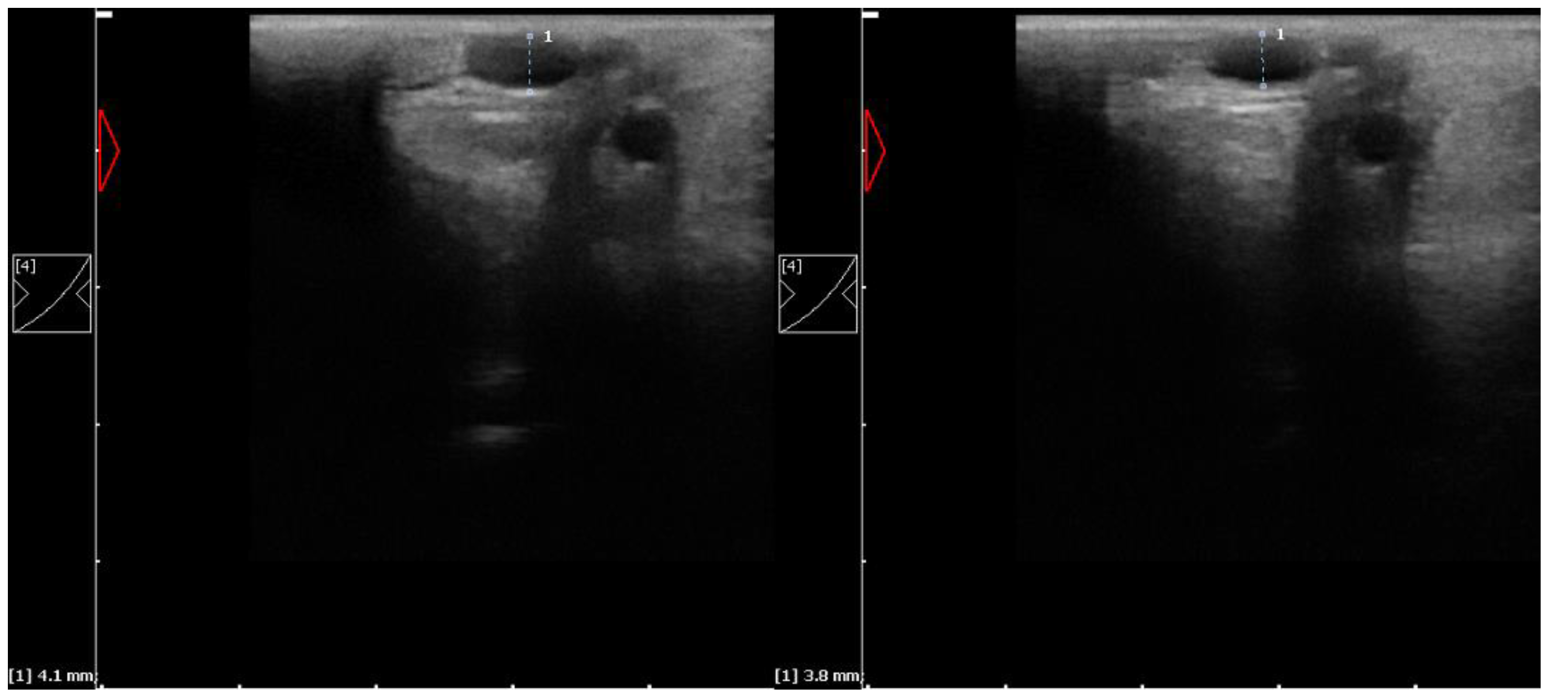 Animals 13 00216 g001