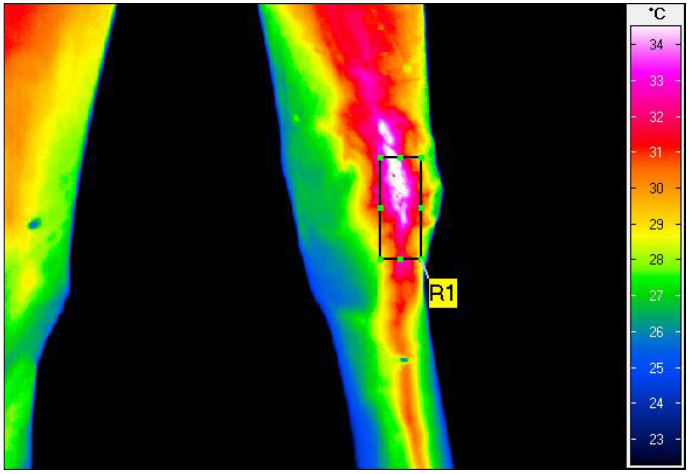 Animals 13 00216 g002