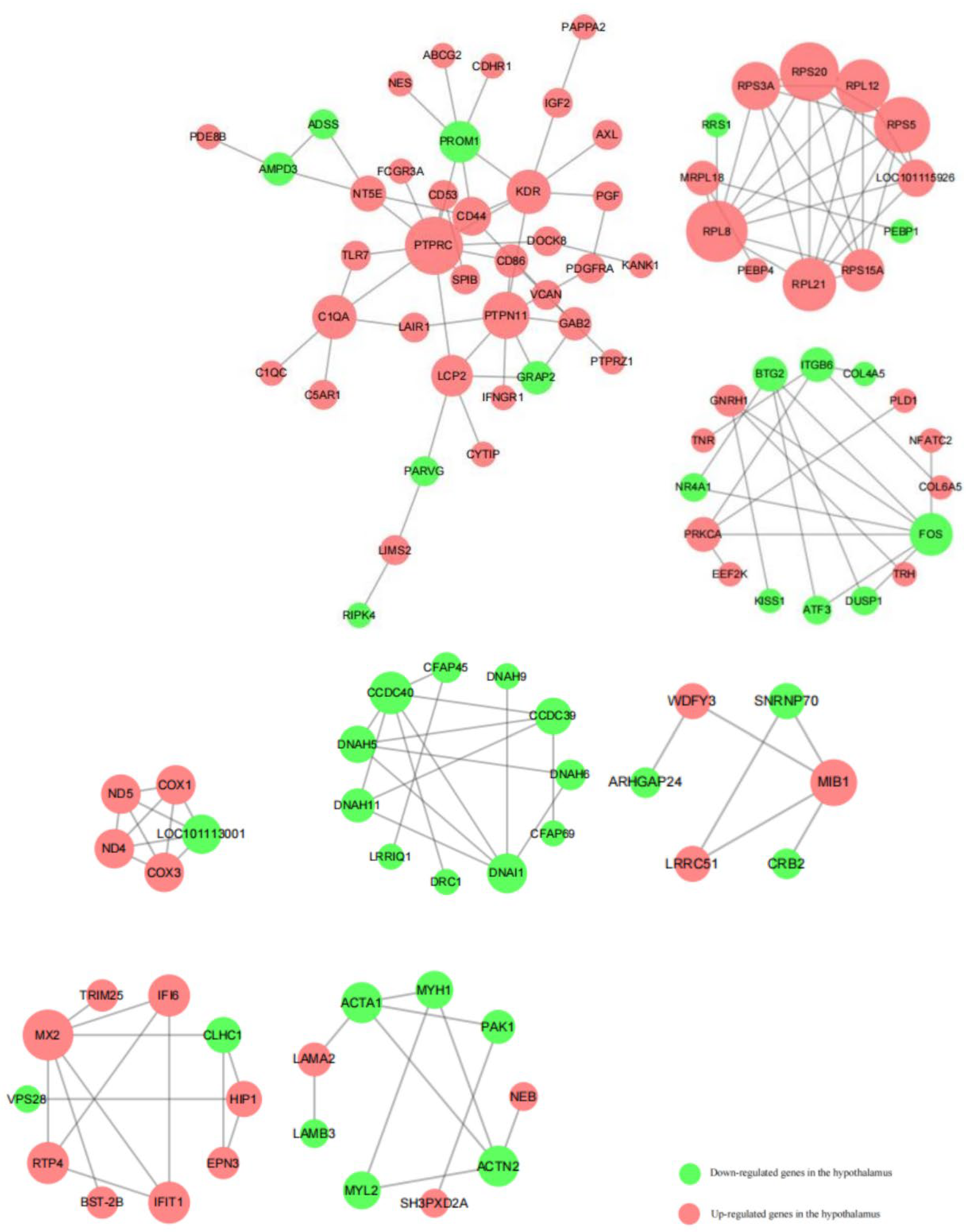 Animals 13 00217 g010 Animals 13 00217 g010