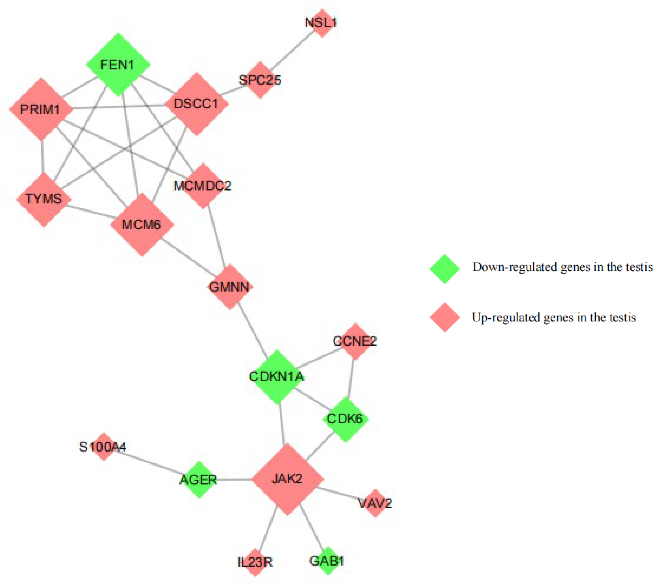 Animals 13 00217 g011 Animals 13 00217 g011