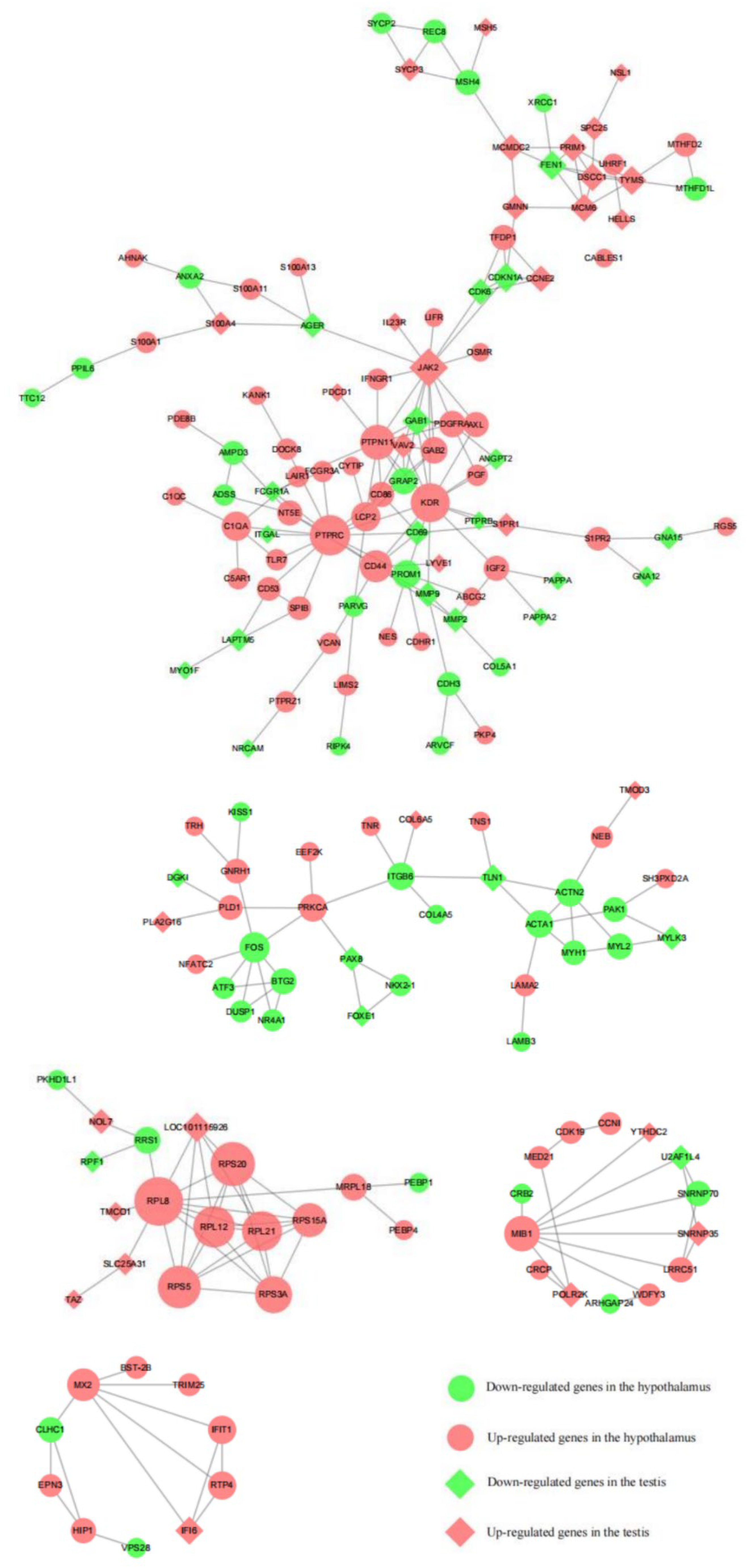 Animals 13 00217 g012 Animals 13 00217 g012