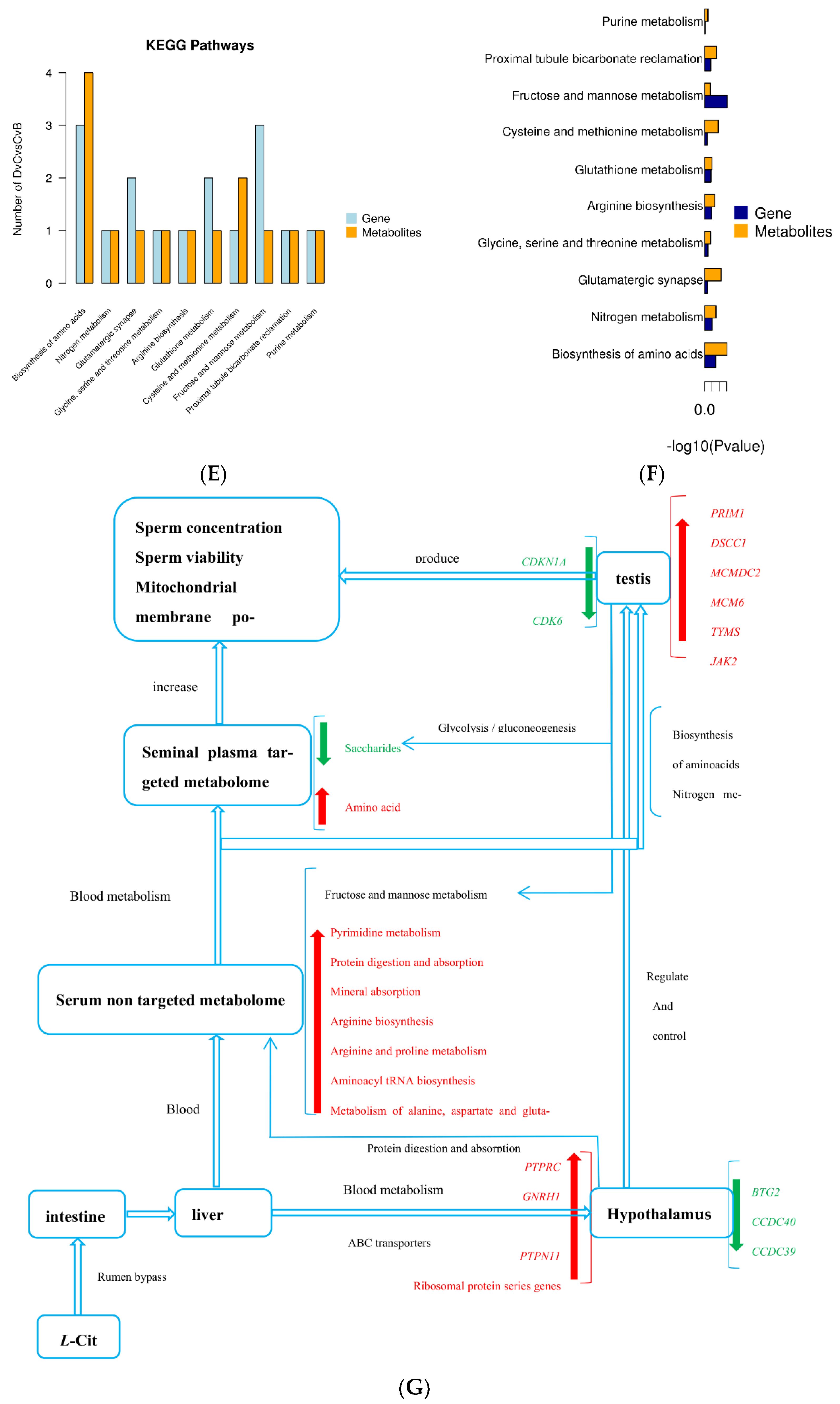 Animals 13 00217 g013b Animals 13 00217 g013b