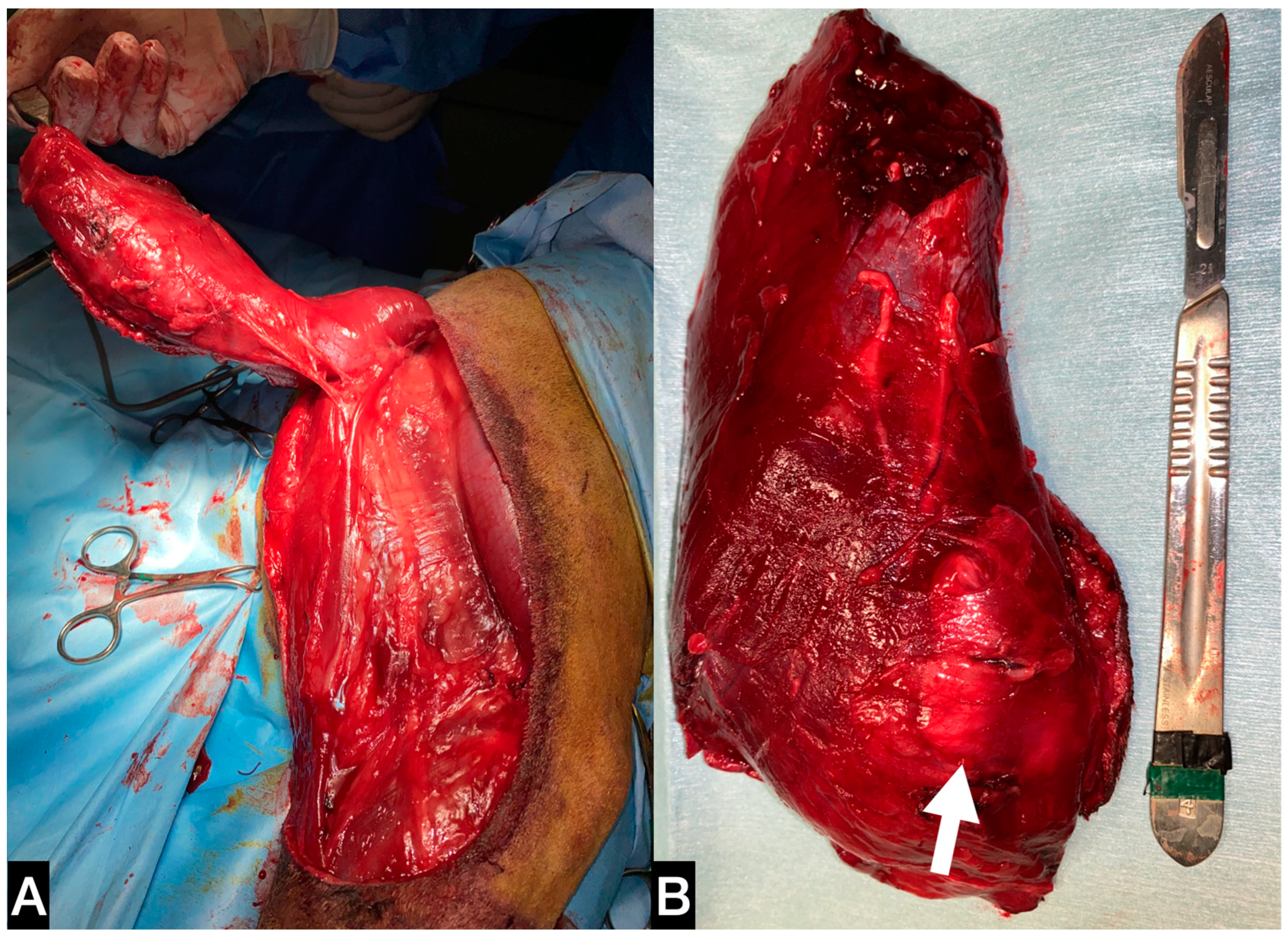 Animals 13 00218 g003