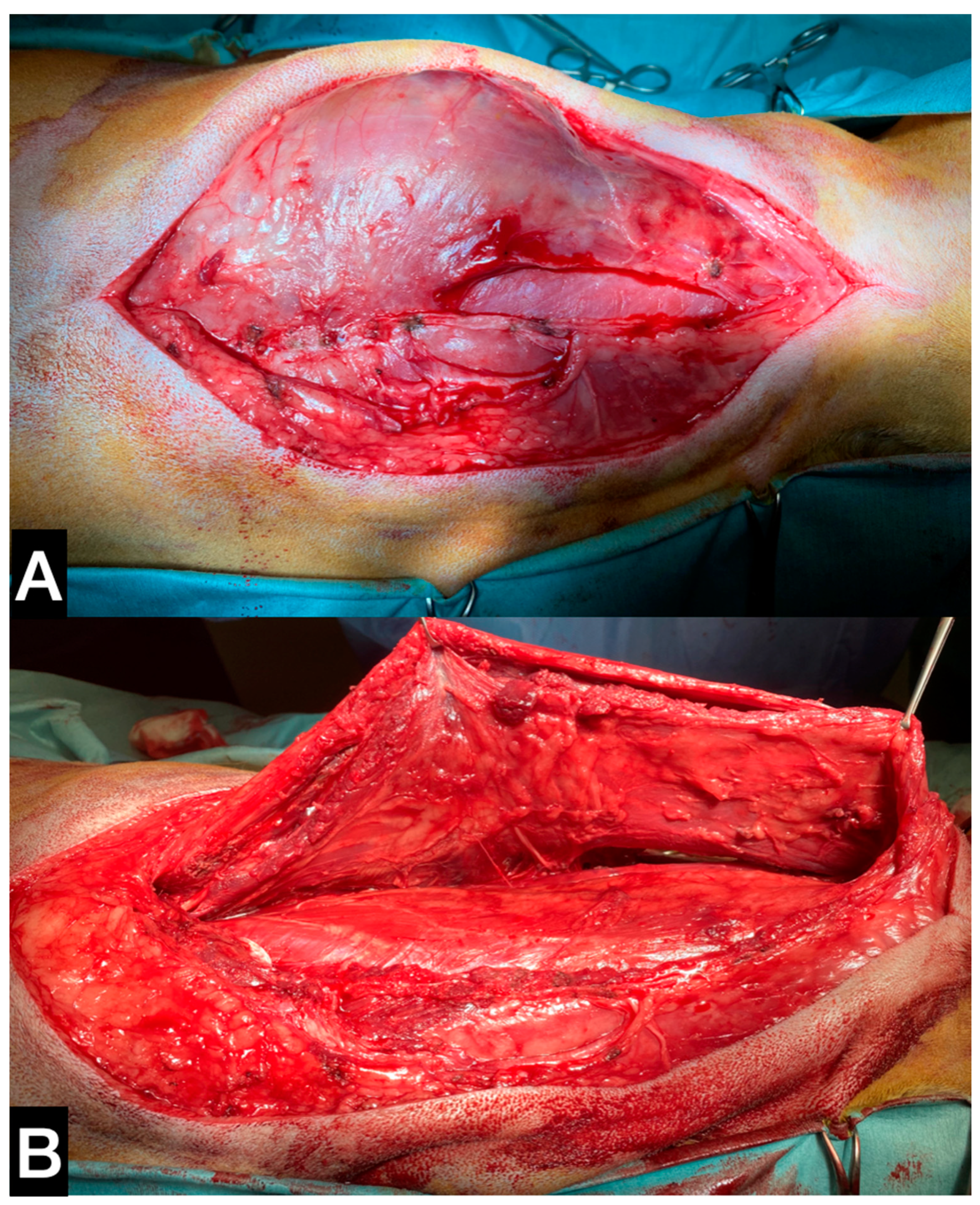 Animals 13 00218 g006