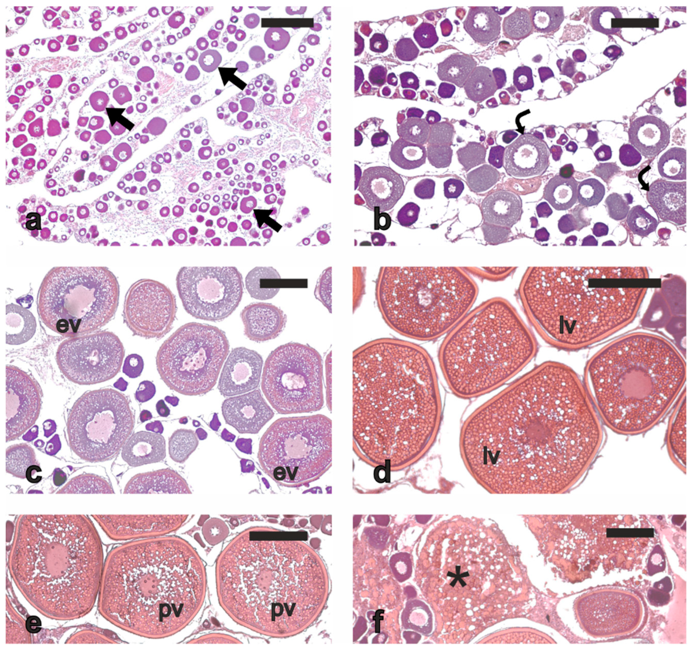 Animals 13 00223 g004