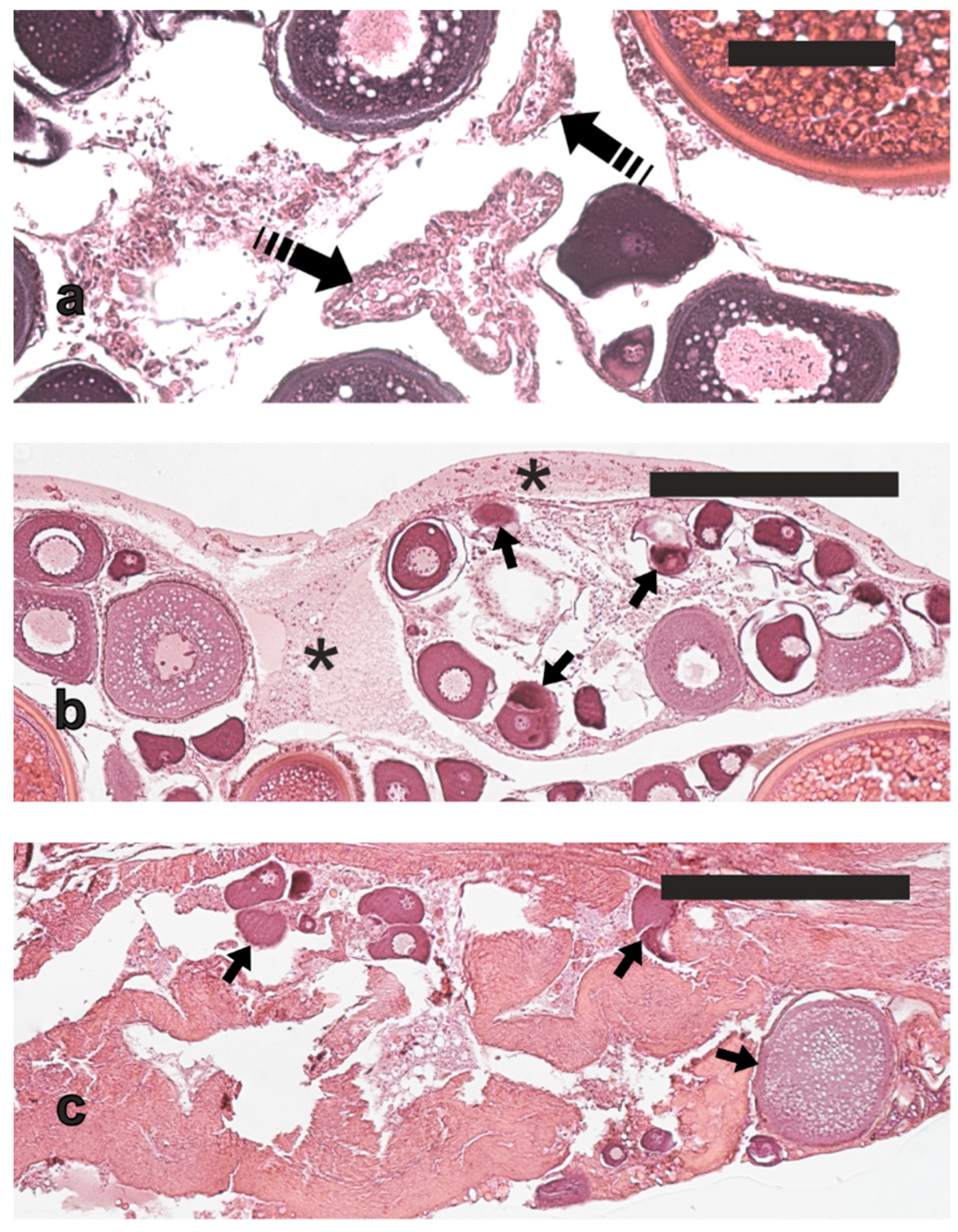 Animals 13 00223 g005