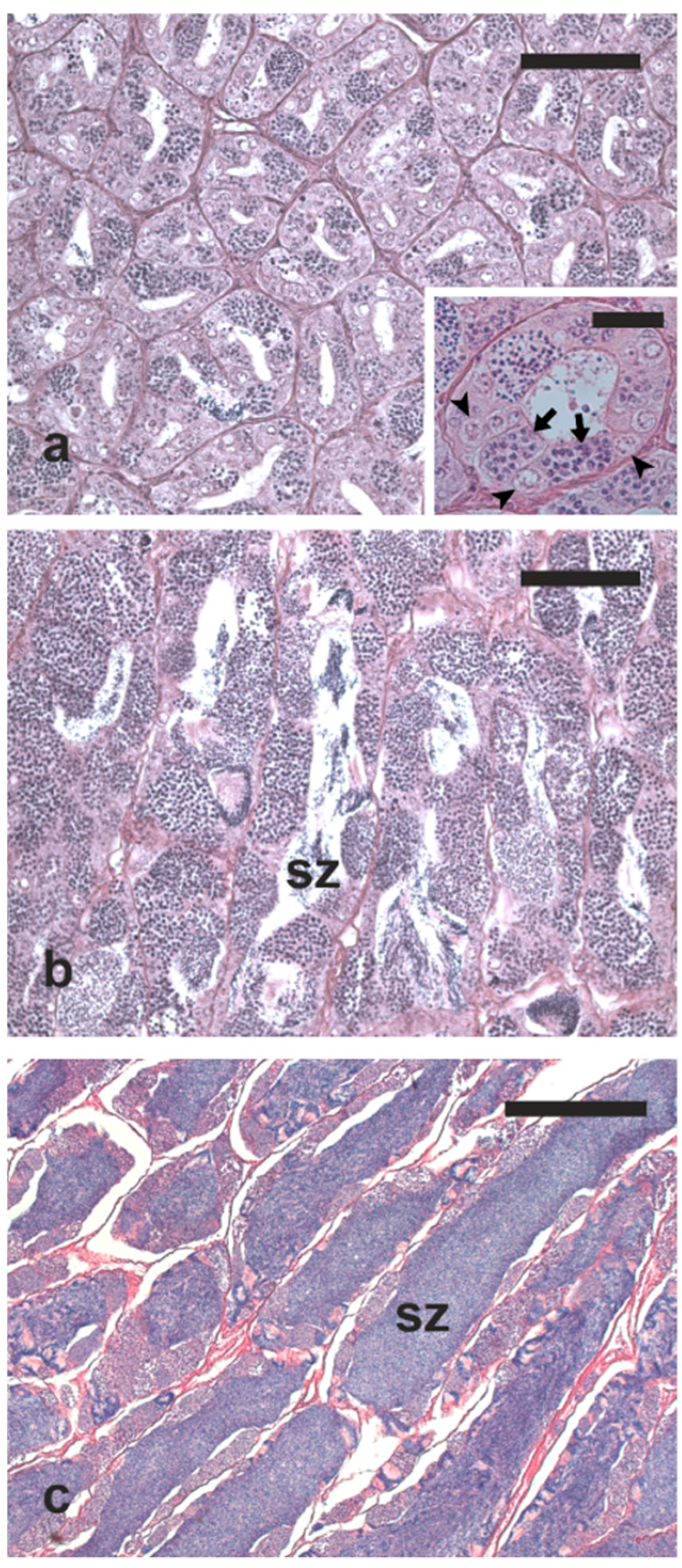 Animals 13 00223 g008