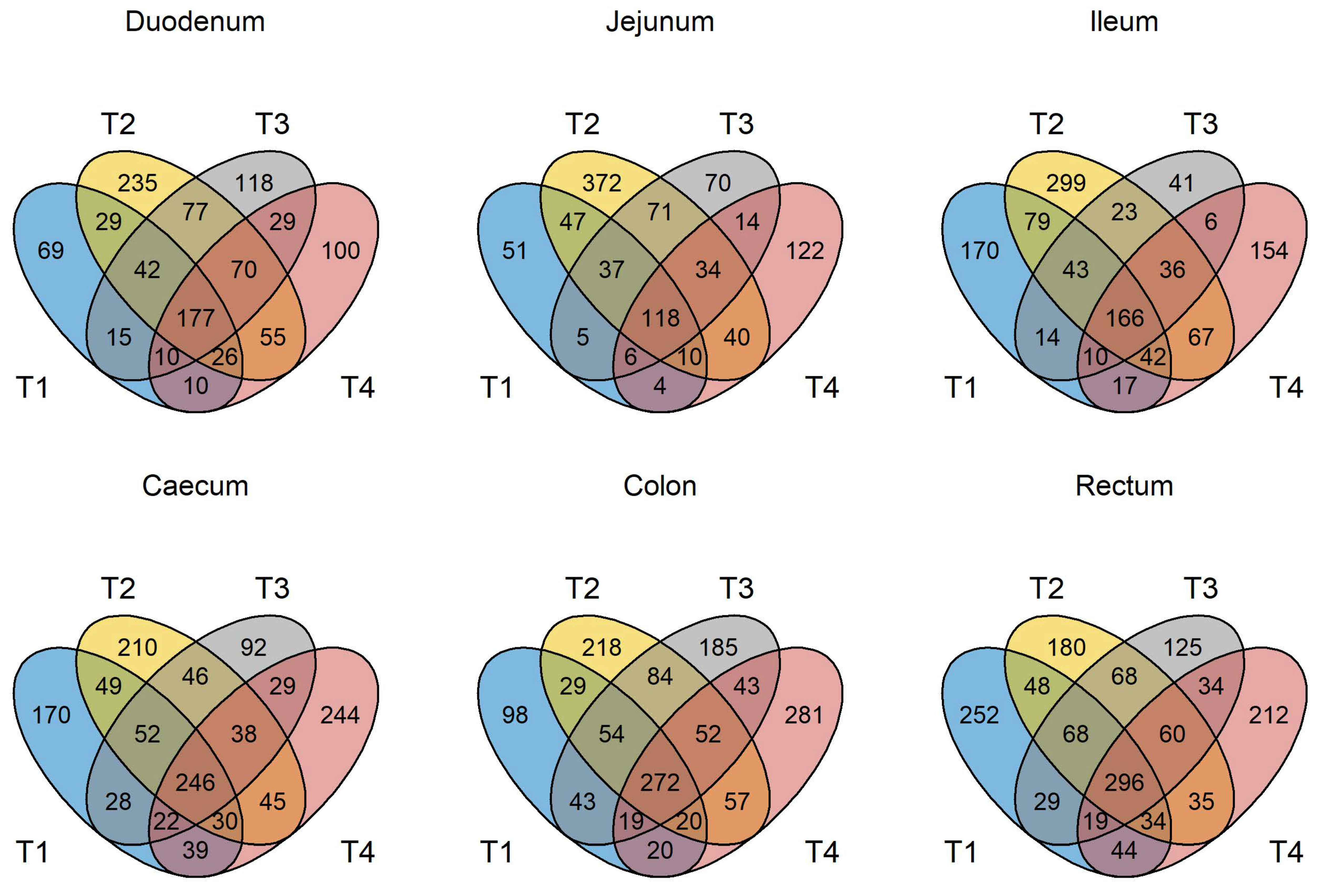 Animals 13 00230 g001