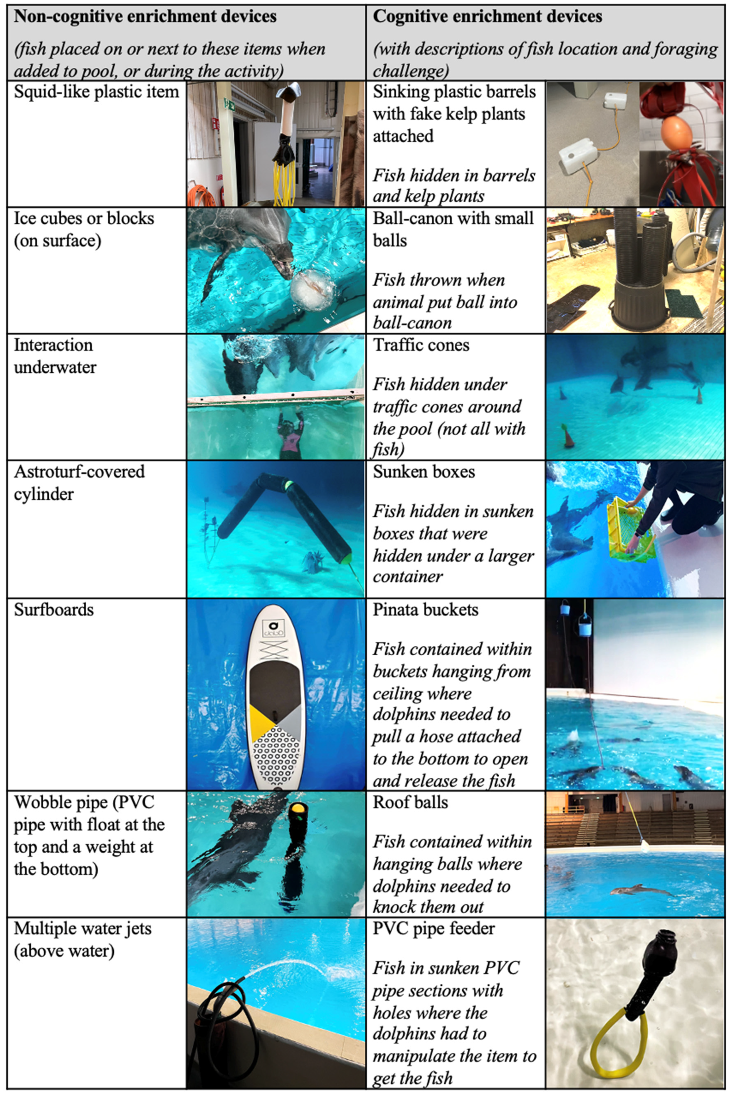 Animals 13 00238 g001b