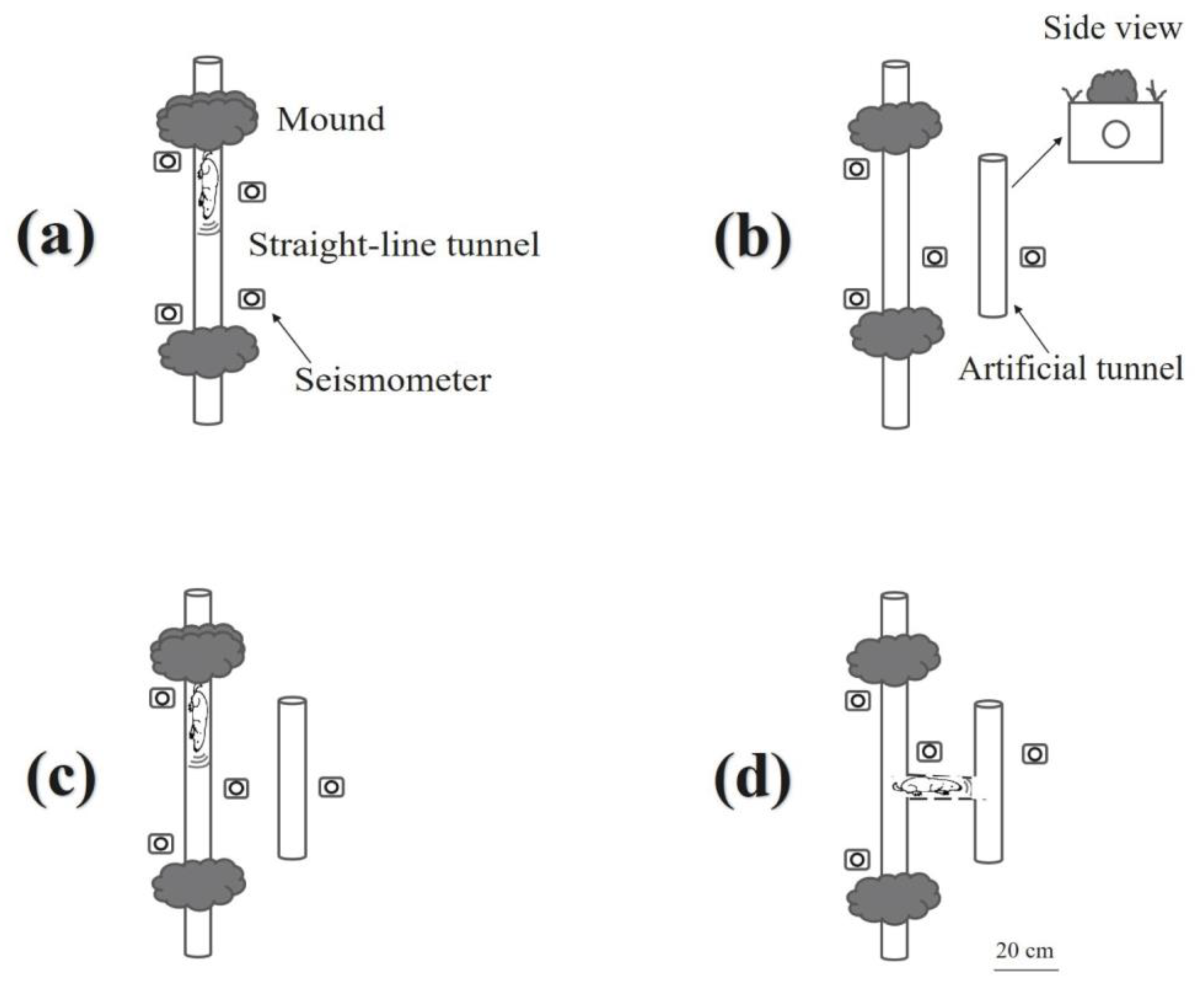 Animals 13 00240 g002