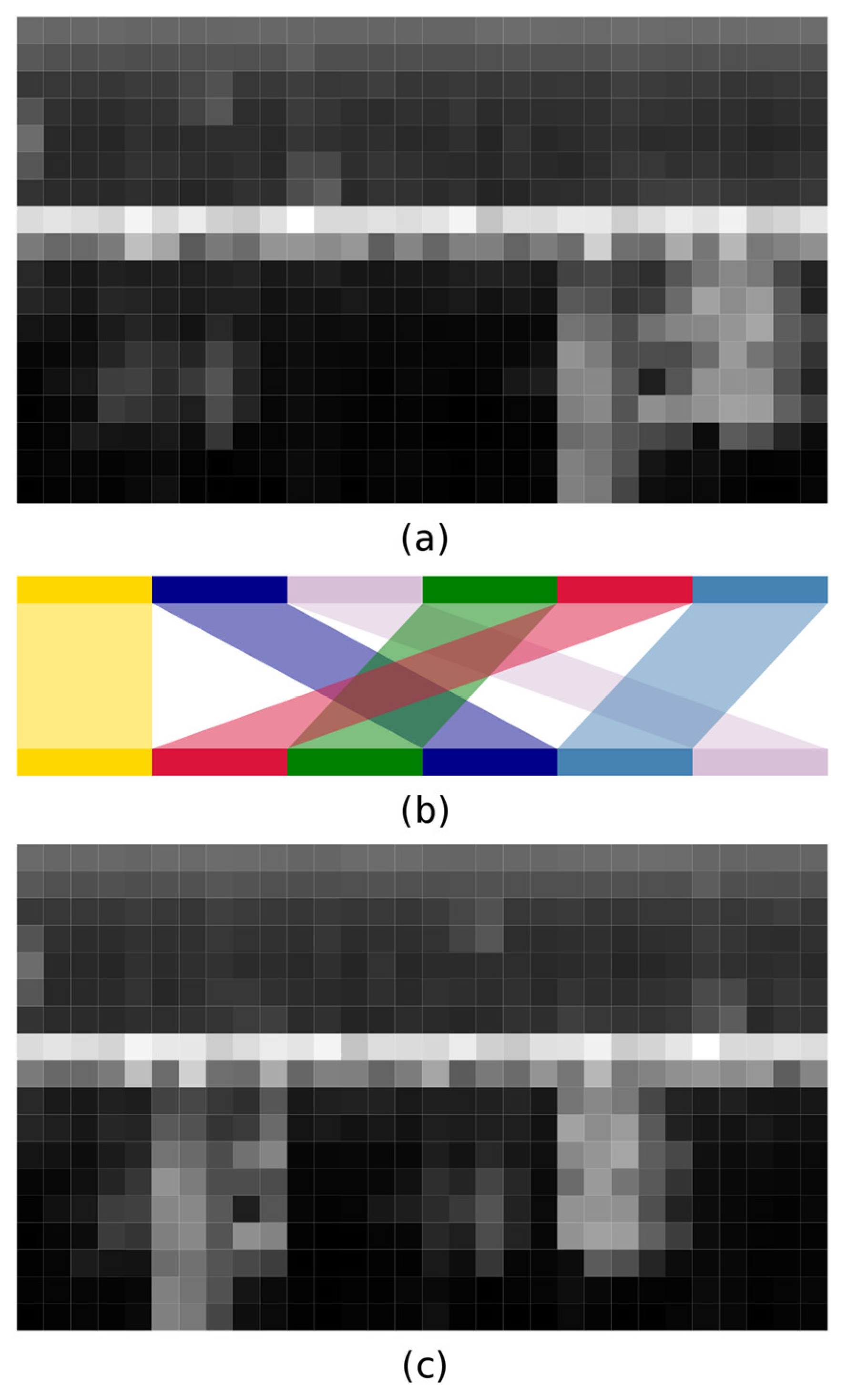 Animals 13 00241 g001