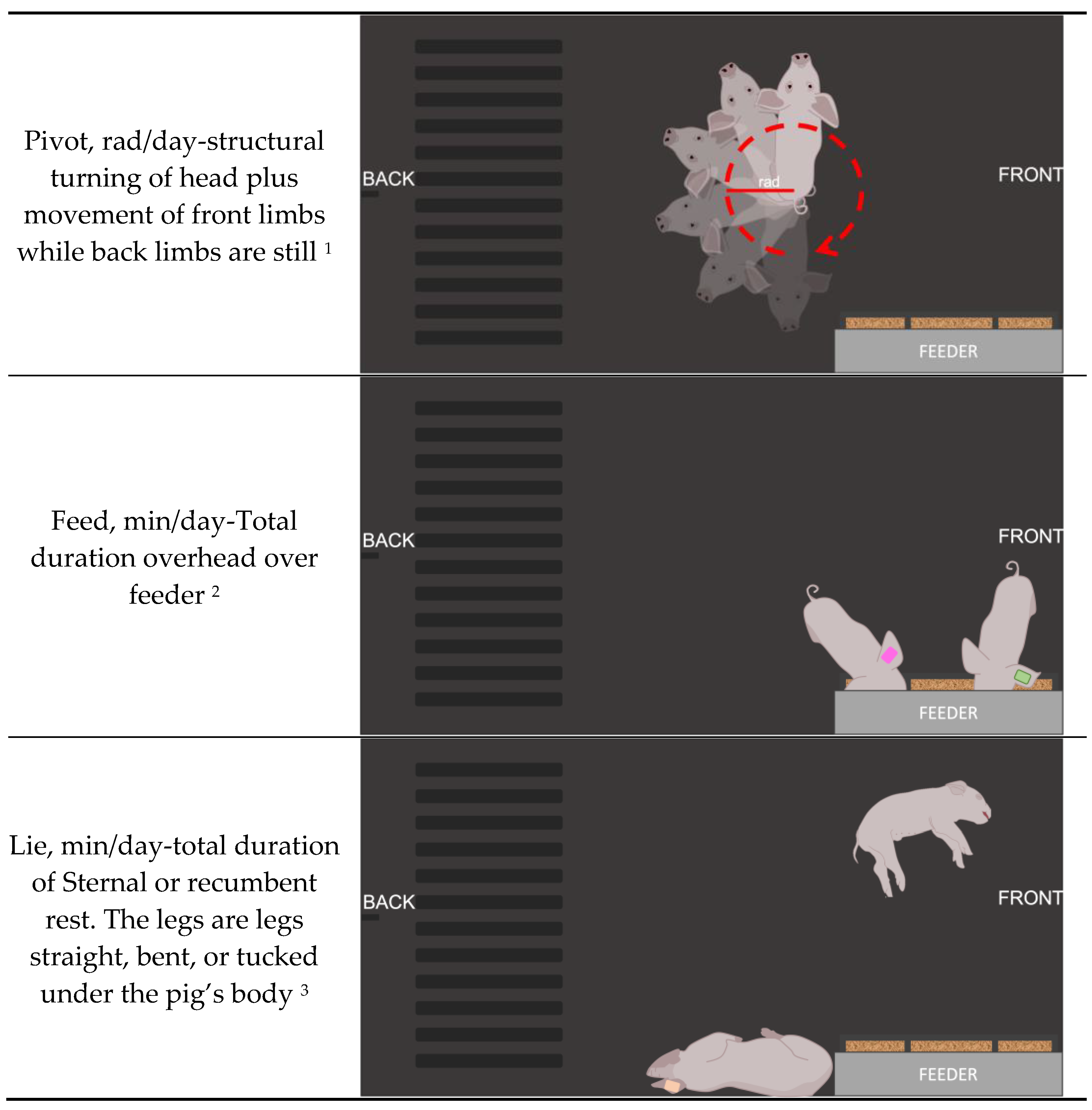 Animals 13 00246 g002b