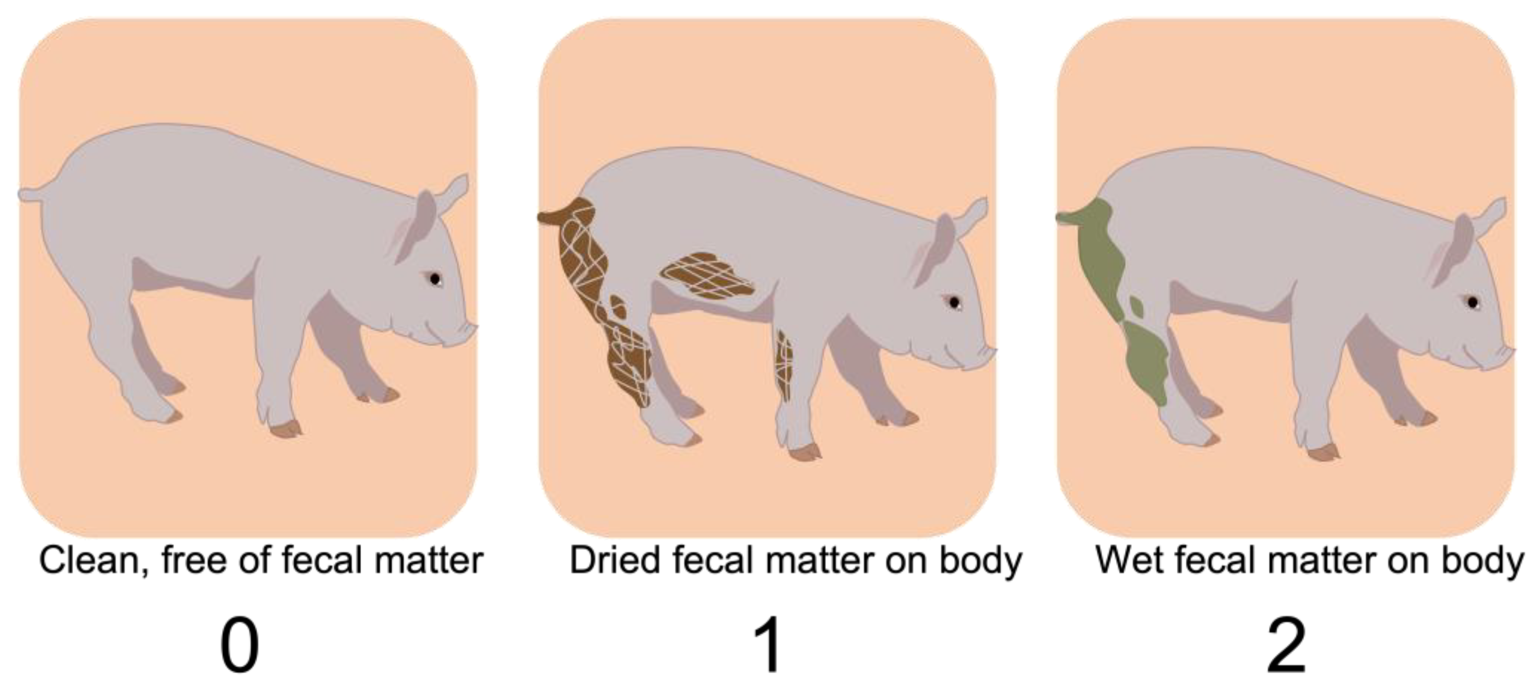 Animals 13 00246 g004