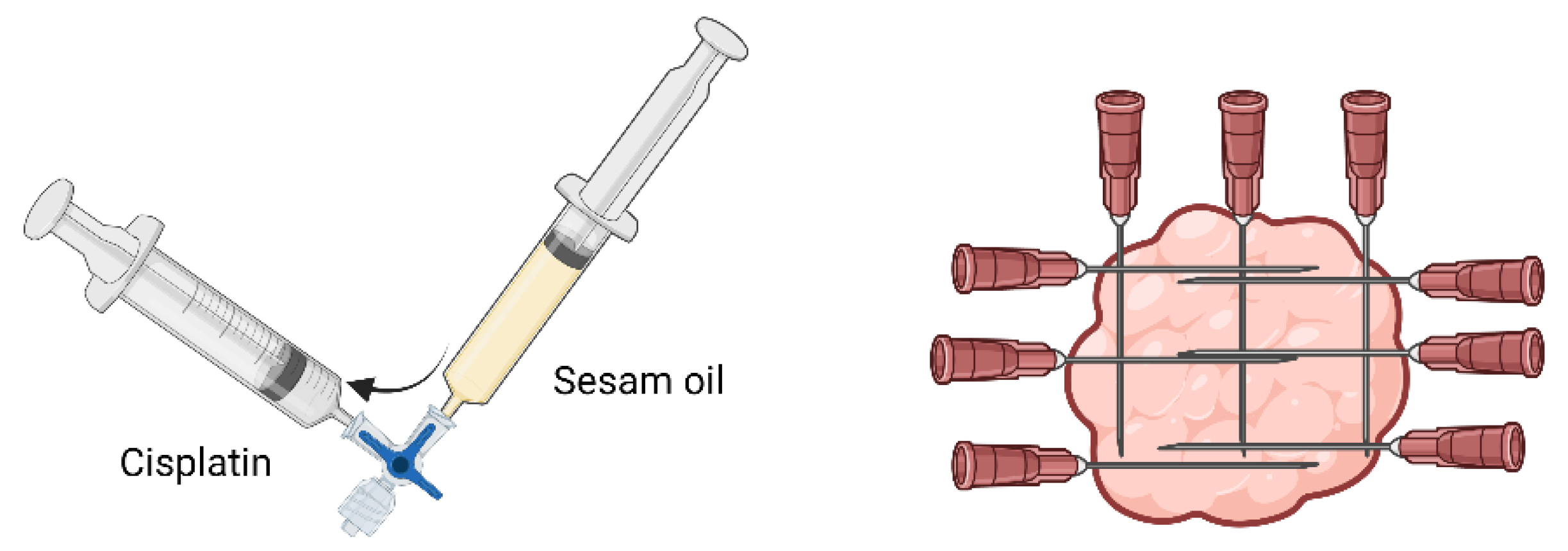 Animals 13 00247 g002