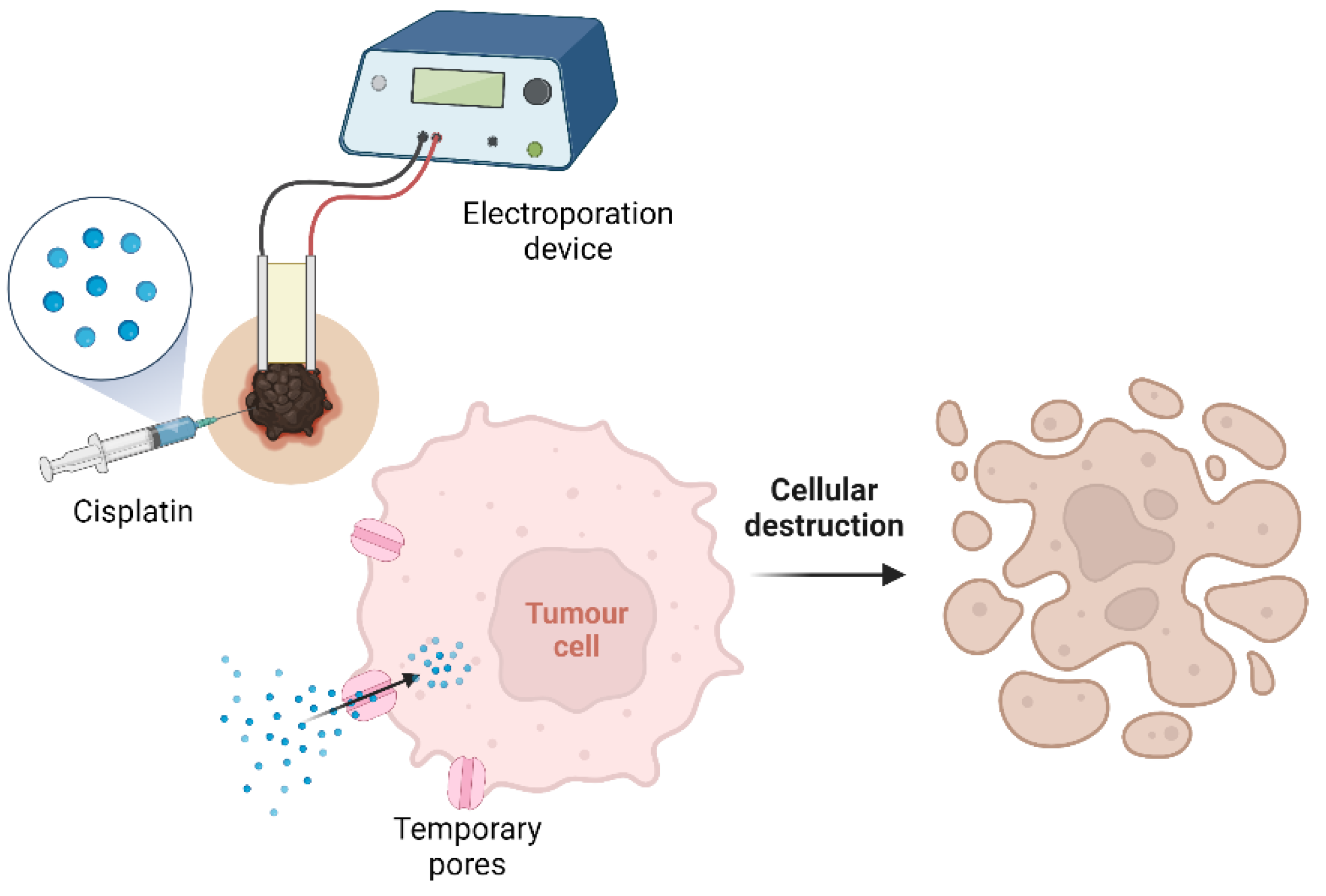 Animals 13 00247 g003