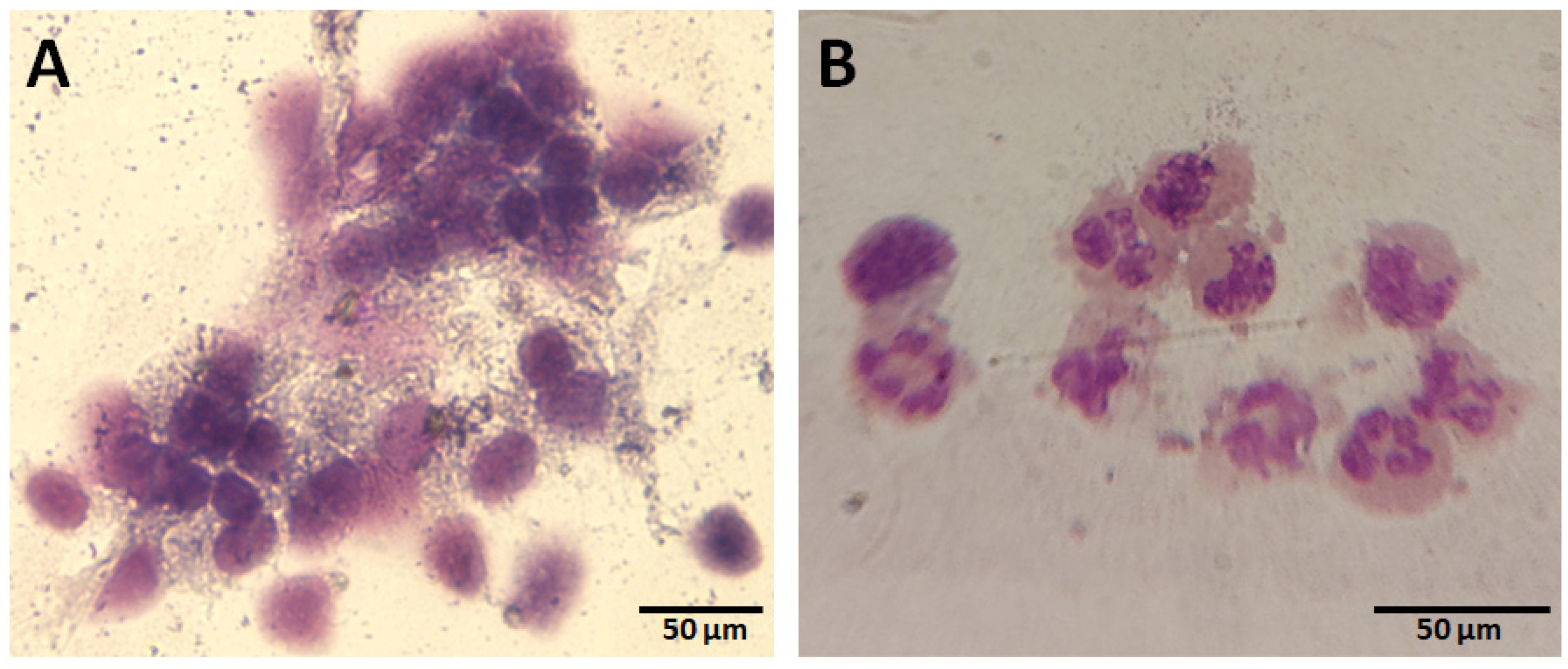 Animals 13 00253 g001