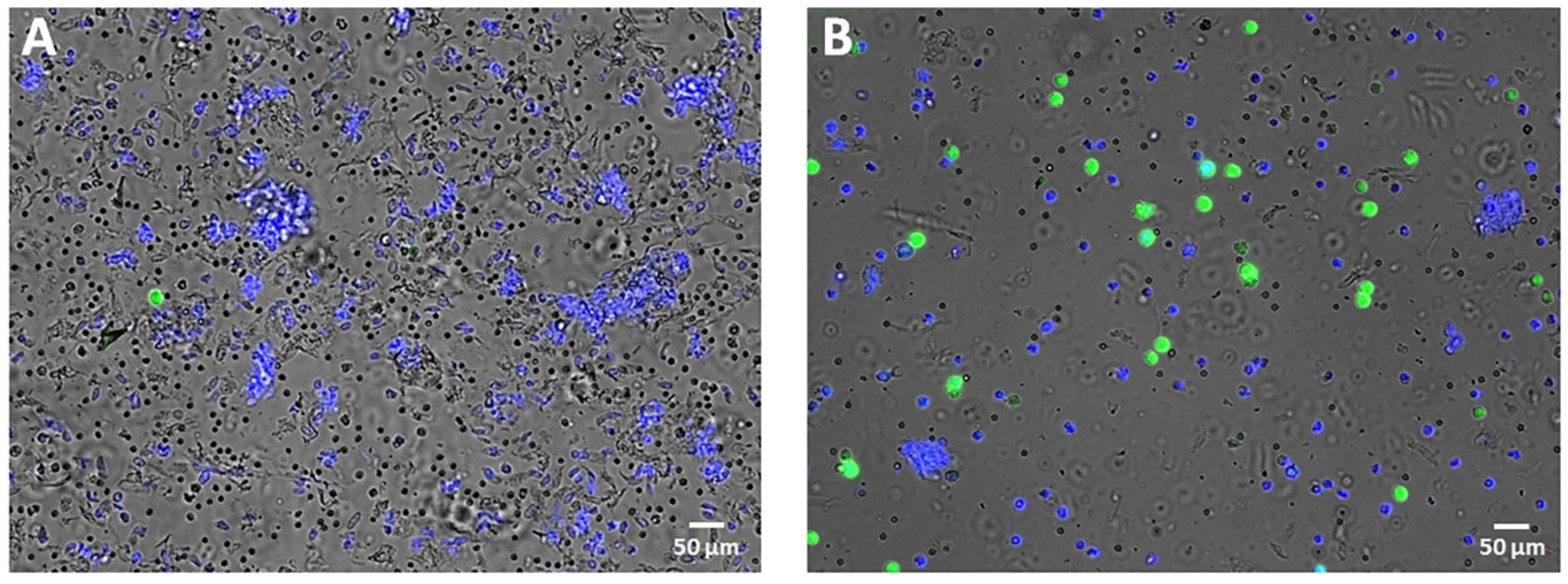 Animals 13 00253 g002