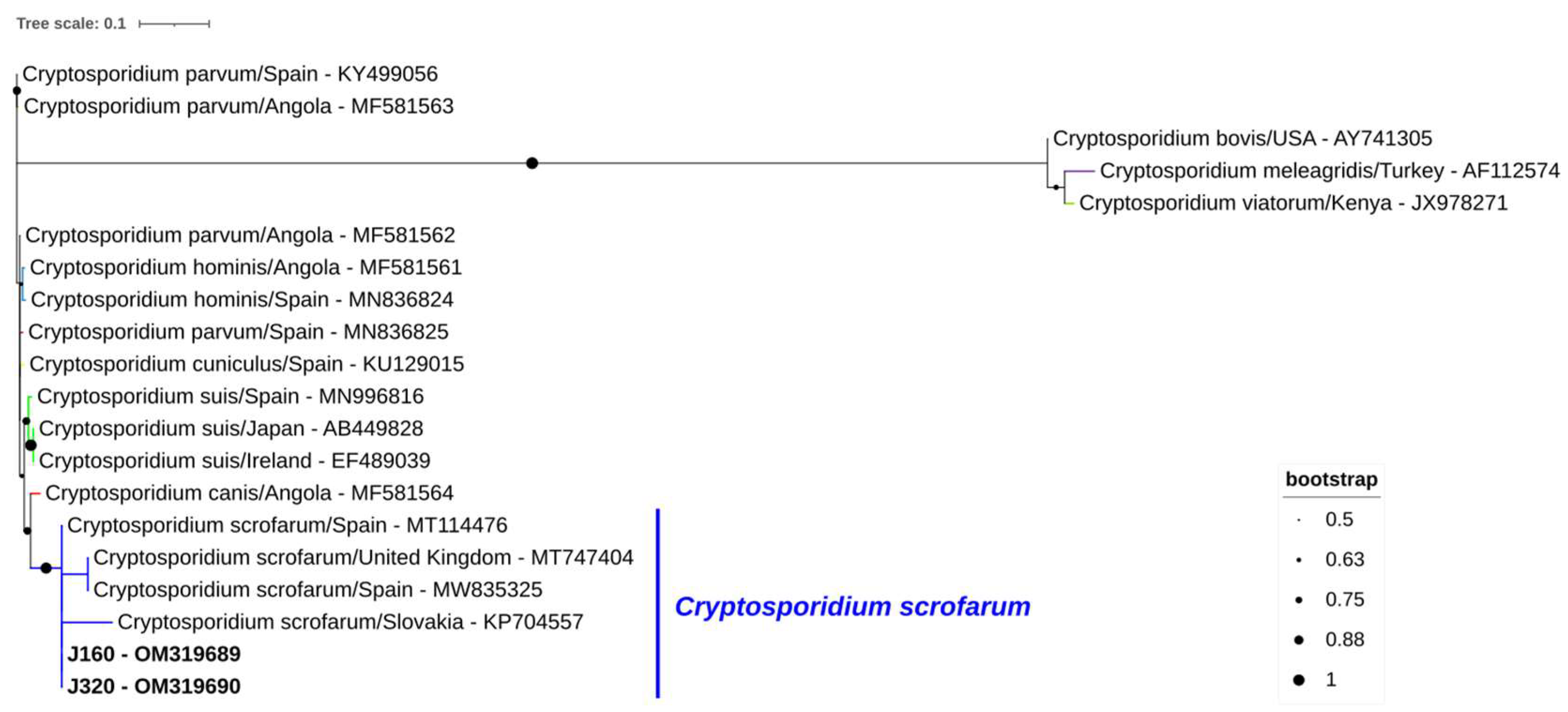 Animals 13 00256 g002