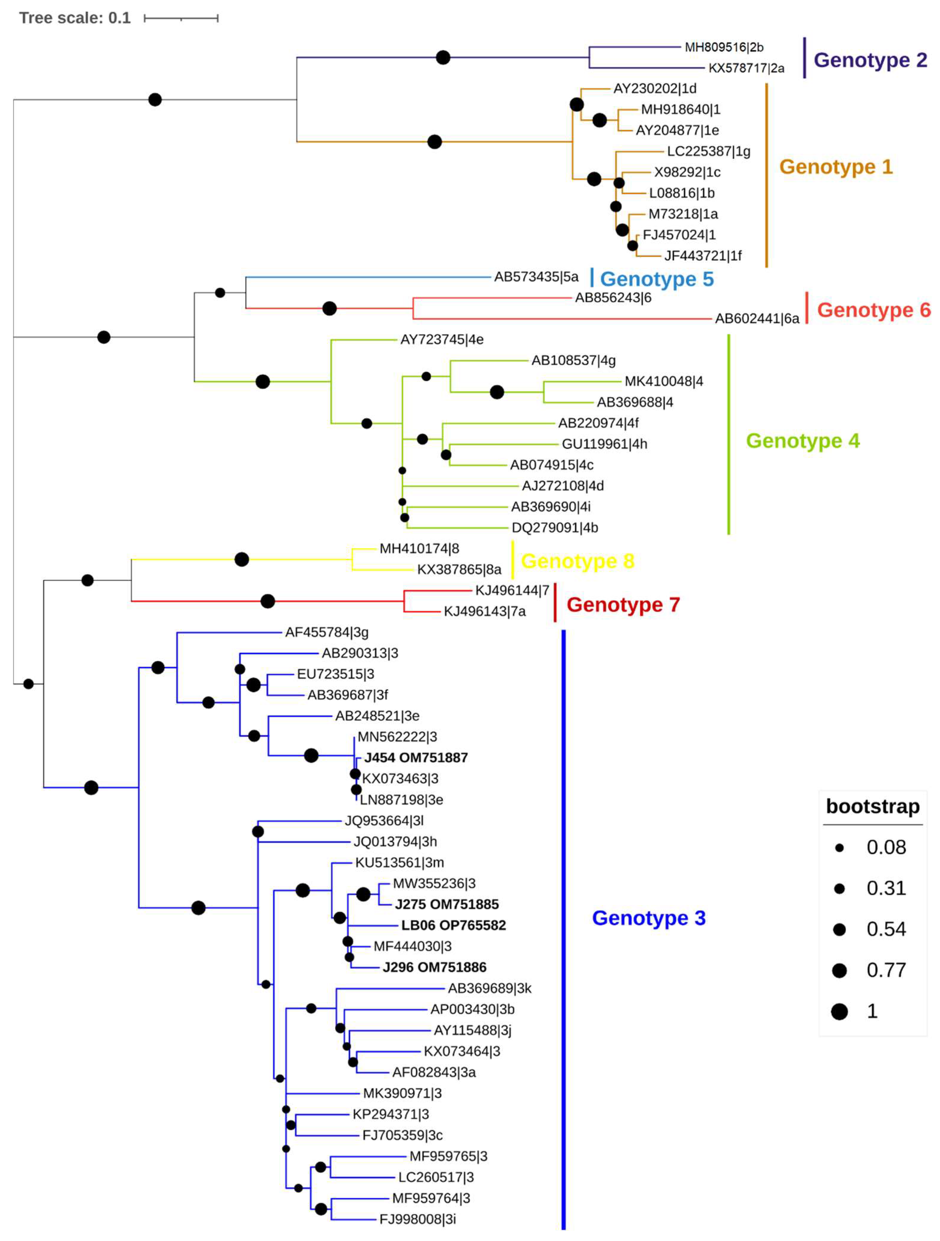 Animals 13 00256 g005