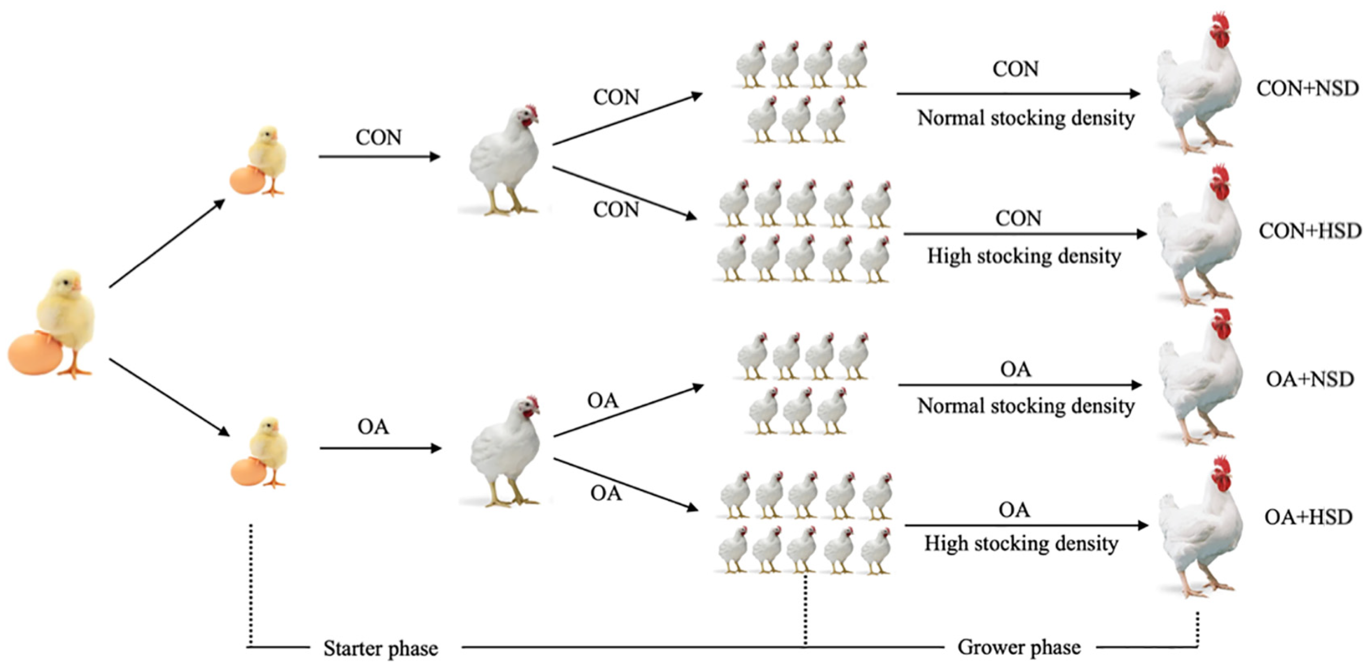 Animals 13 00257 g001