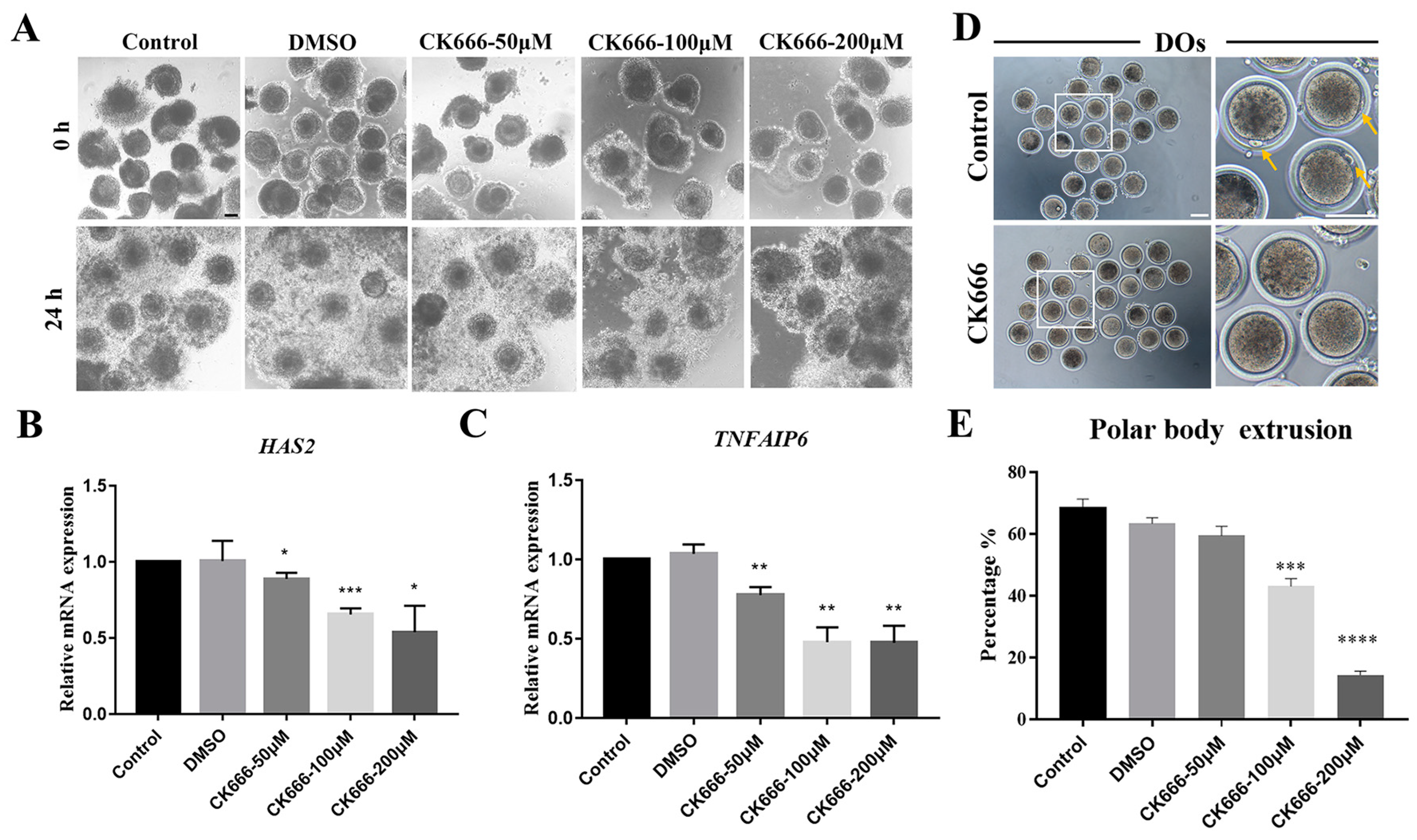 Animals 13 00263 g001 Animals 13 00263 g001