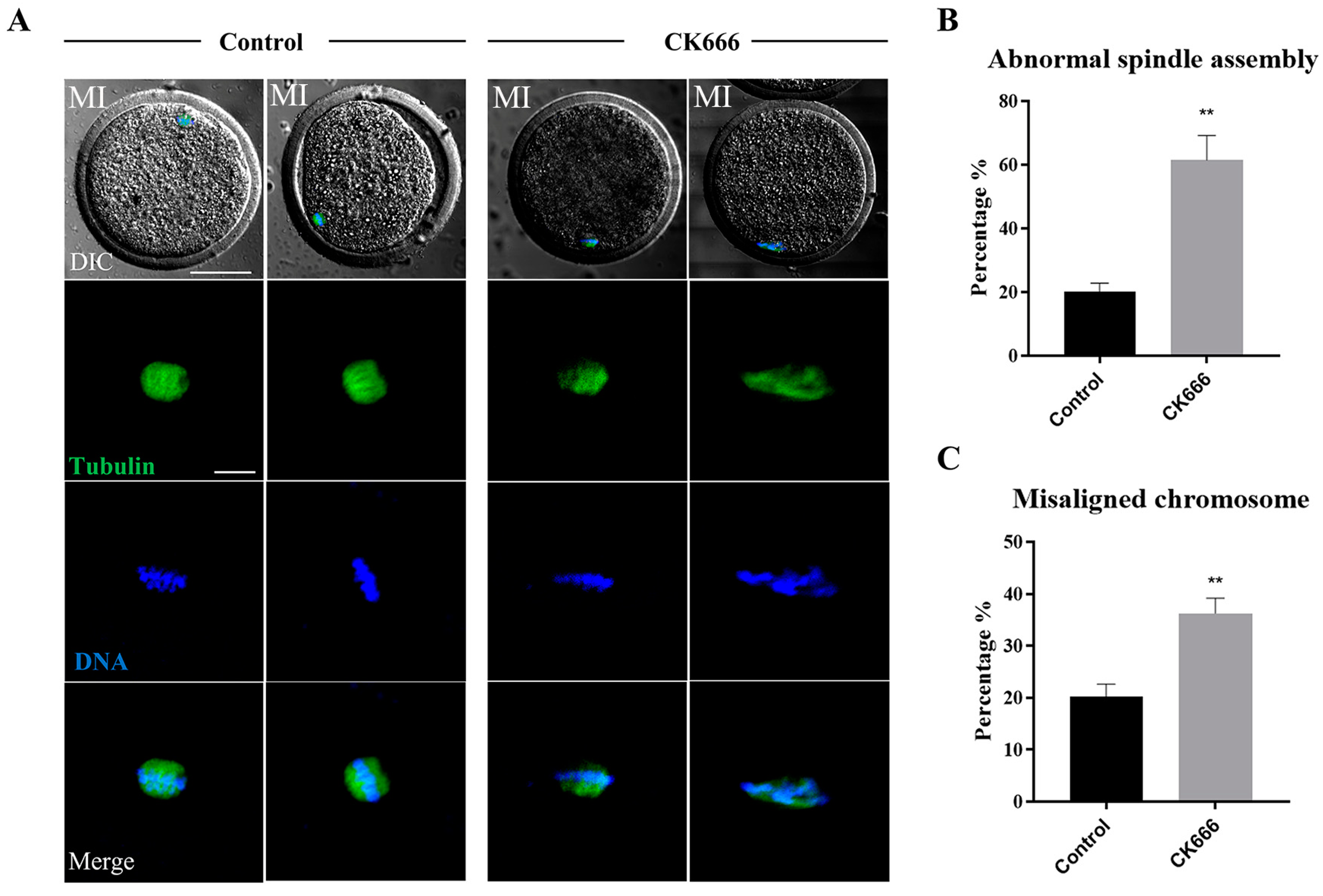 Animals 13 00263 g004 Animals 13 00263 g004
