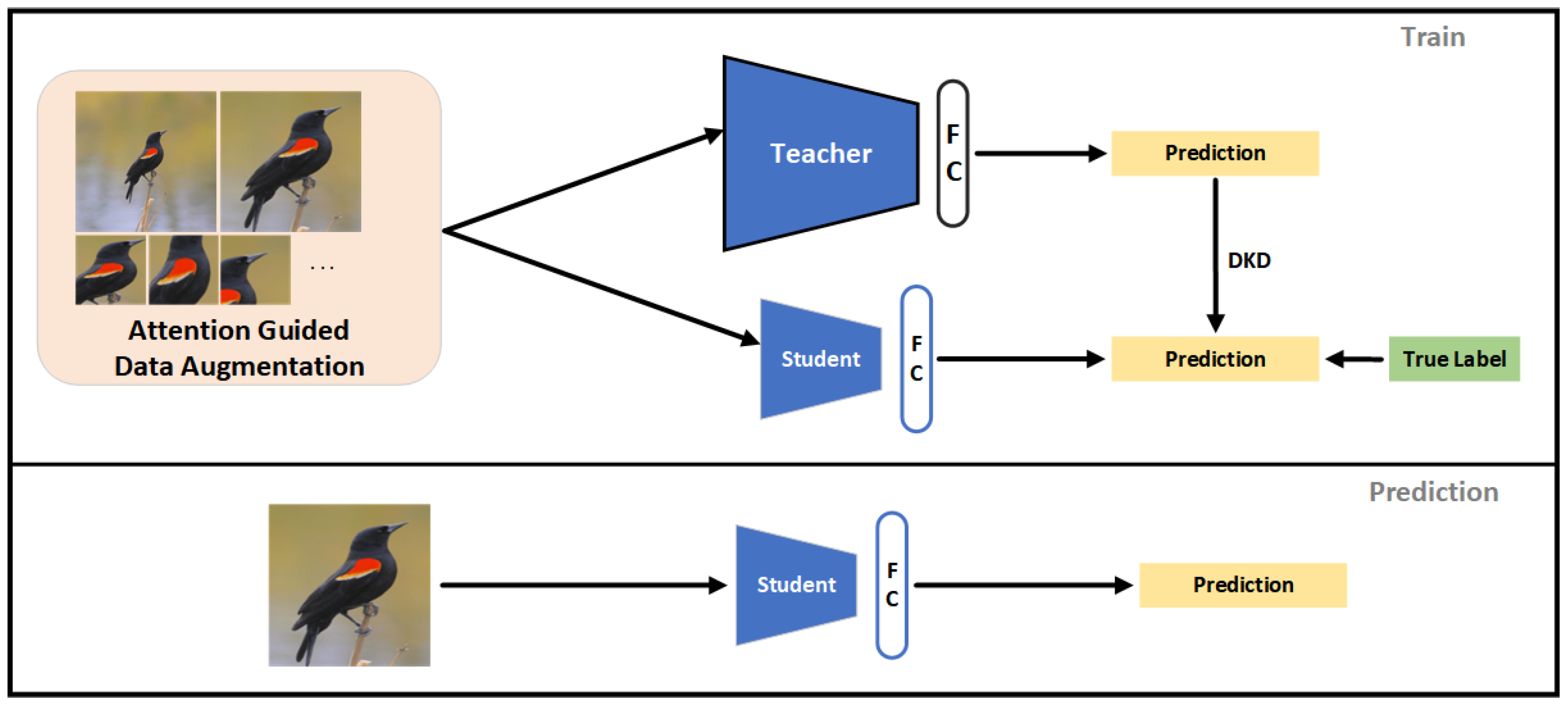 Animals 13 00264 g004