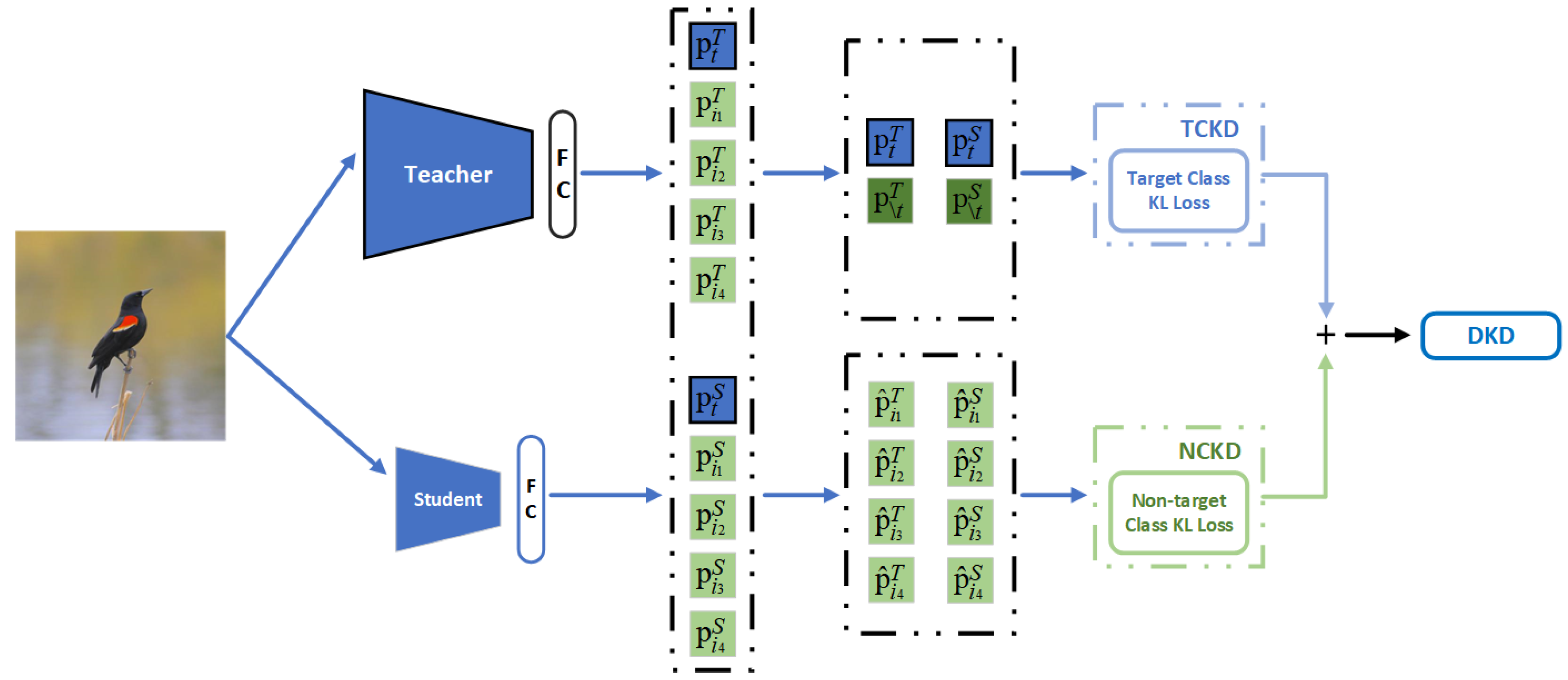 Animals 13 00264 g005