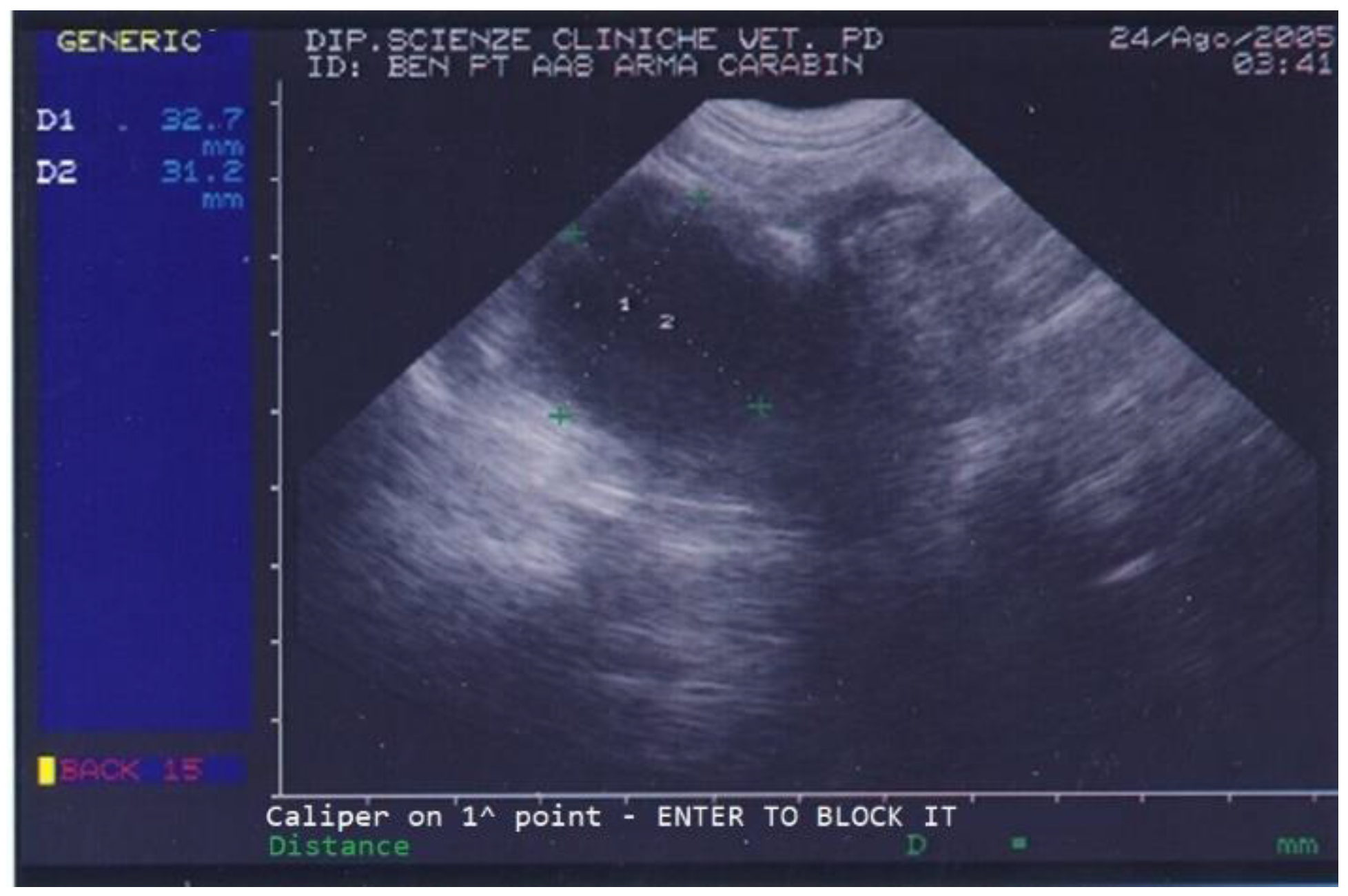 Animals 13 00265 g001