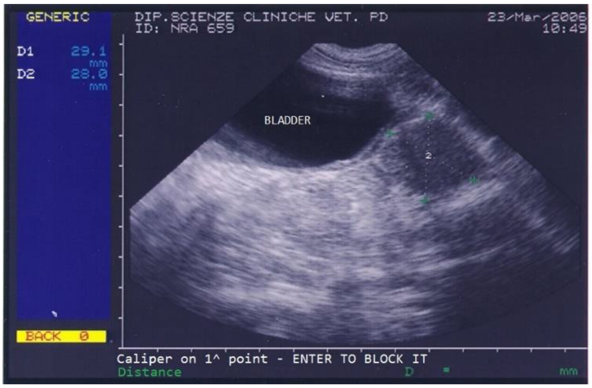 Animals 13 00265 g003