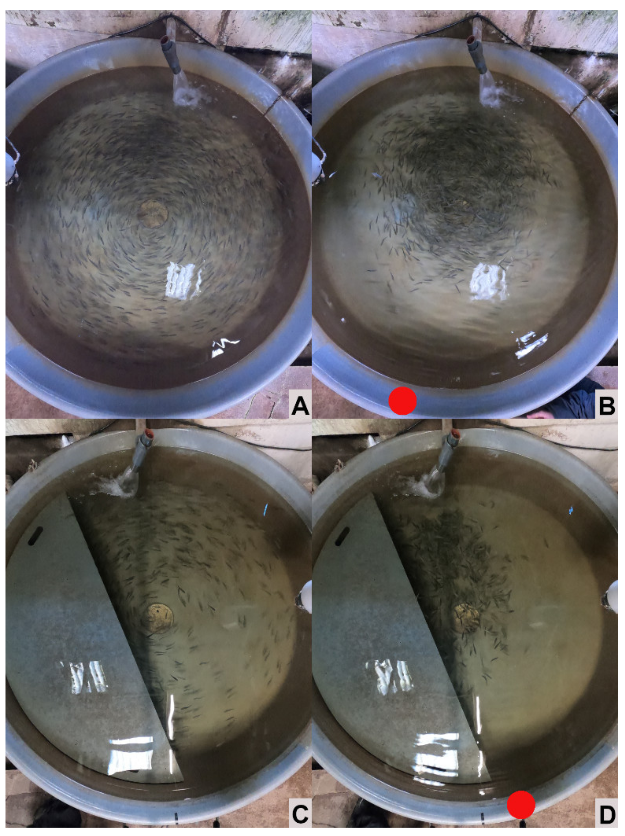 Animals 13 00268 g007