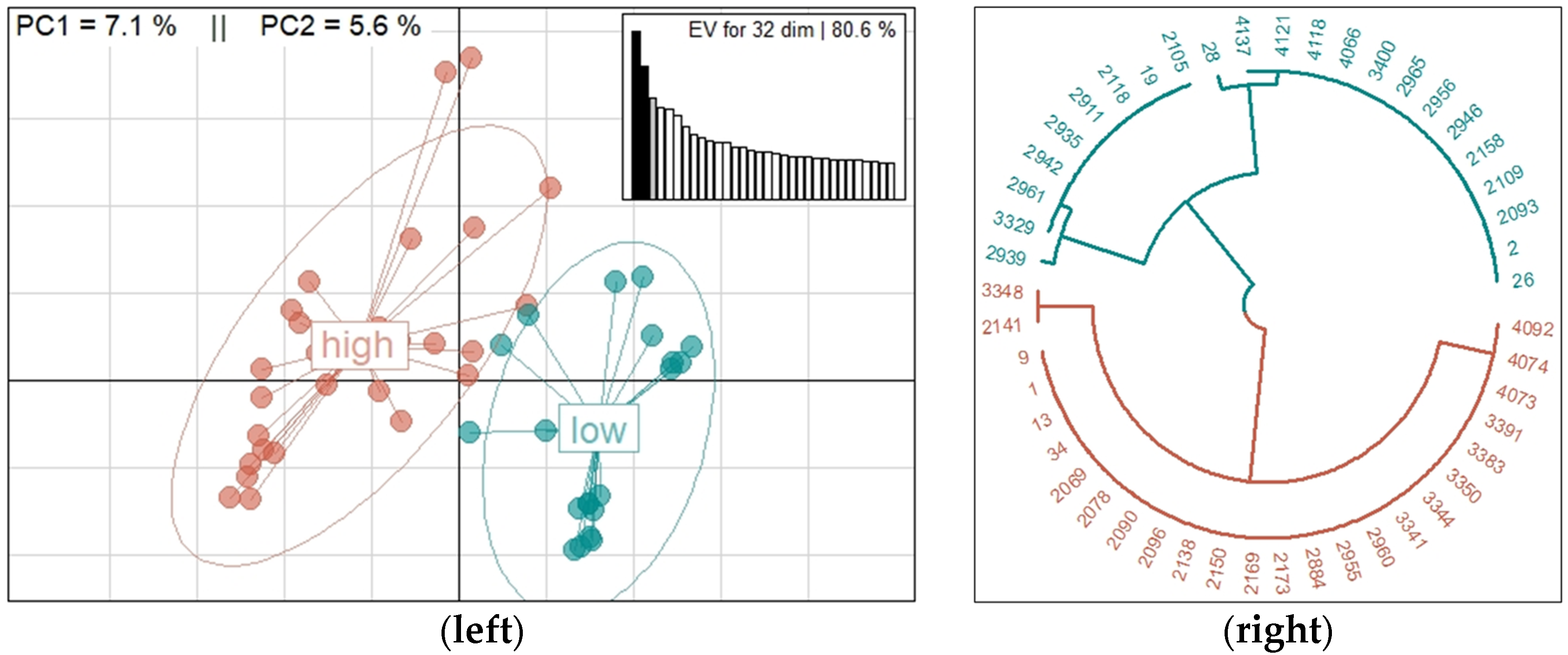 Animals 13 00272 g001 Animals 13 00272 g001