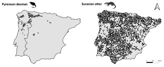 Animals 13 00274 g0a1