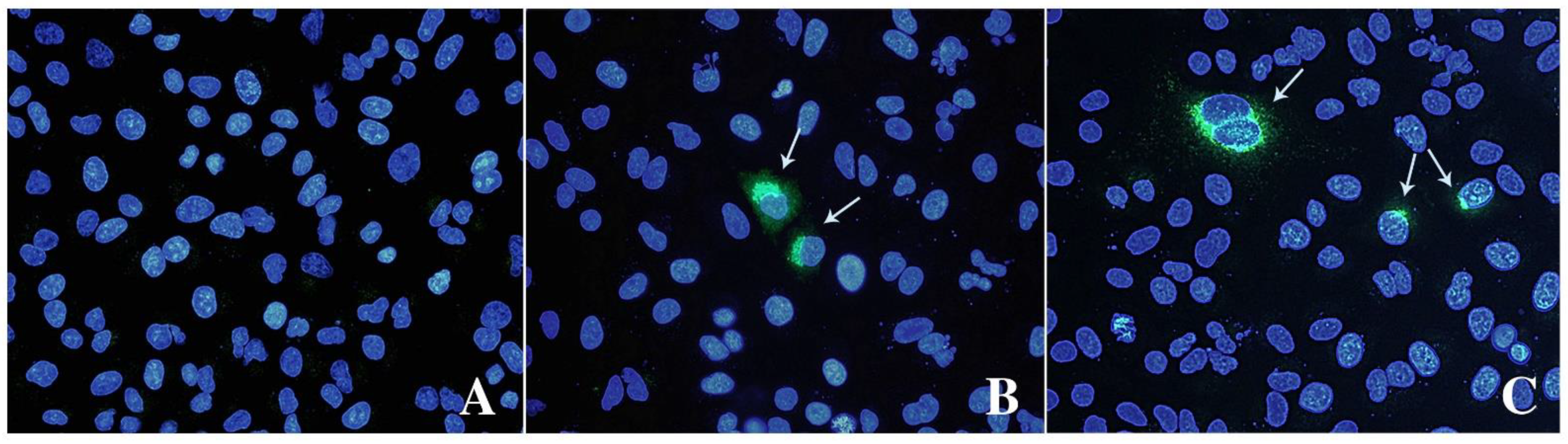 Animals 13 00276 g003